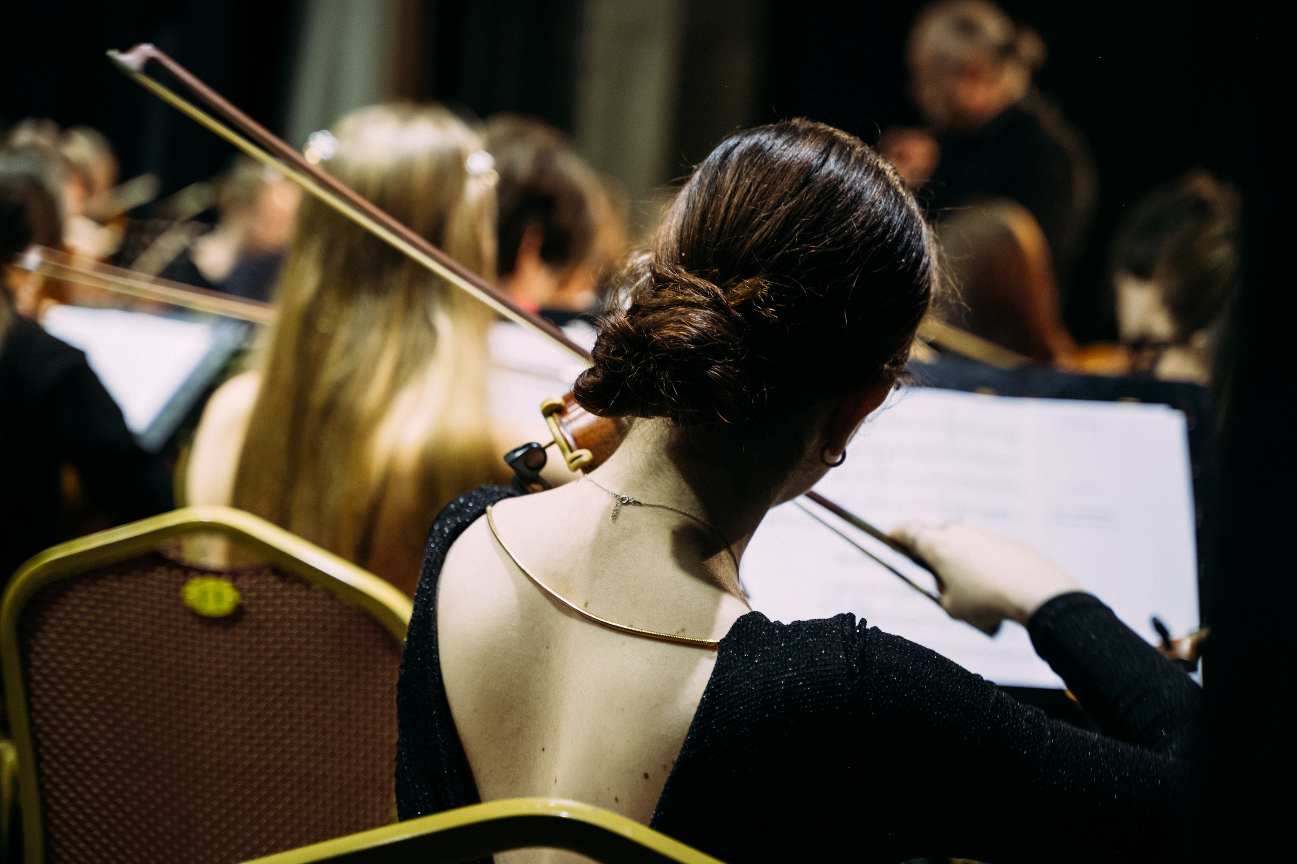 Симфонический оркестр. Фотограф в Волгограде Марина Черных