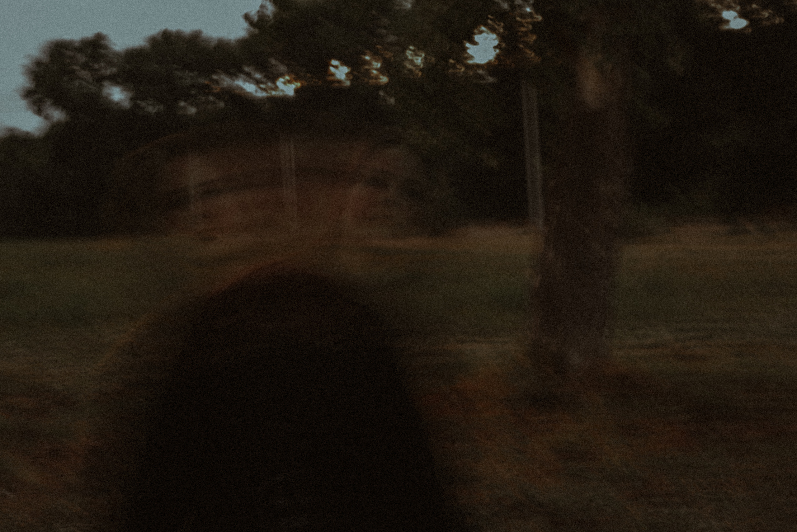 Виктория. Фотограф Дарья Мустафина, Тюмень