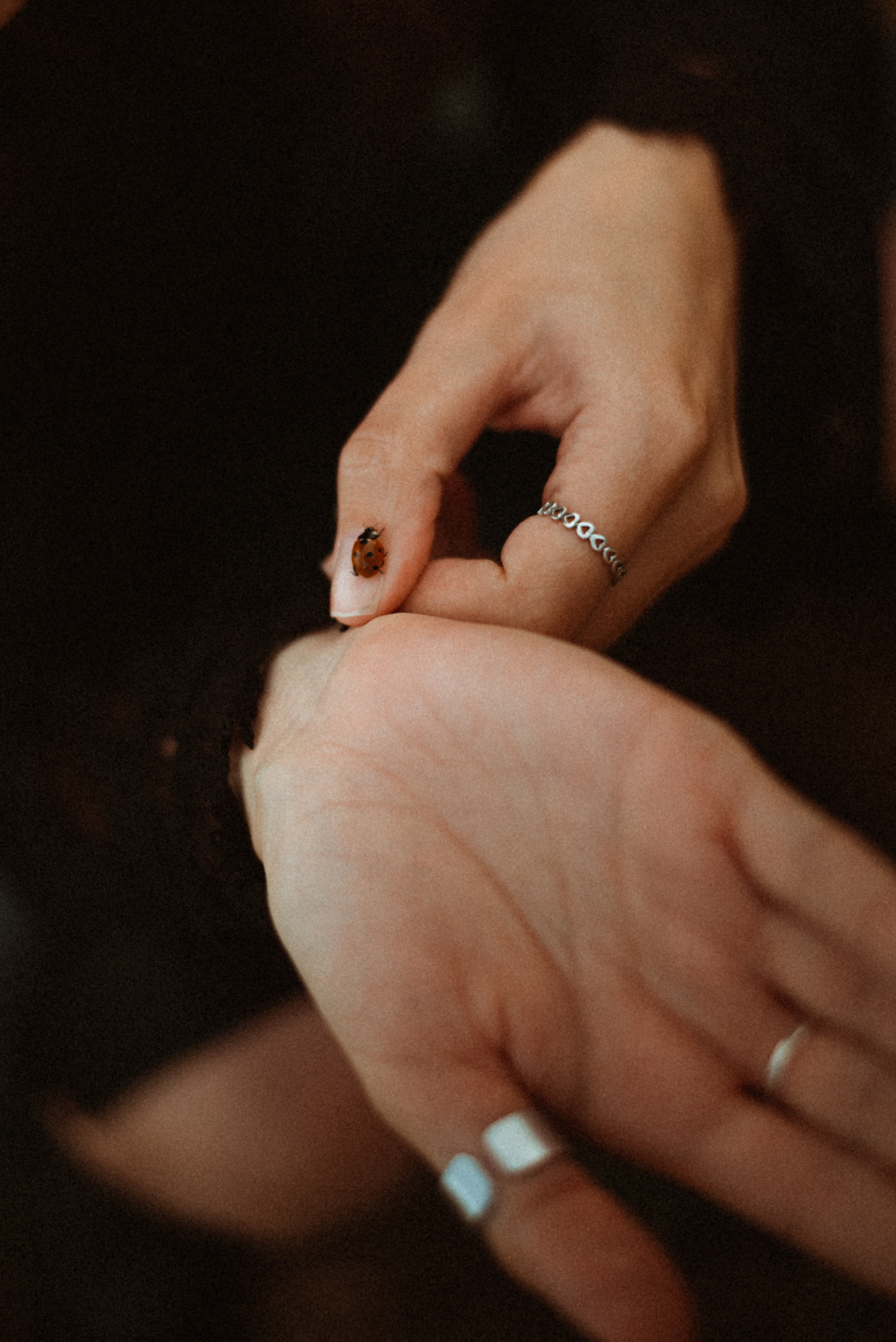 Виктория. Фотограф Дарья Мустафина, Тюмень