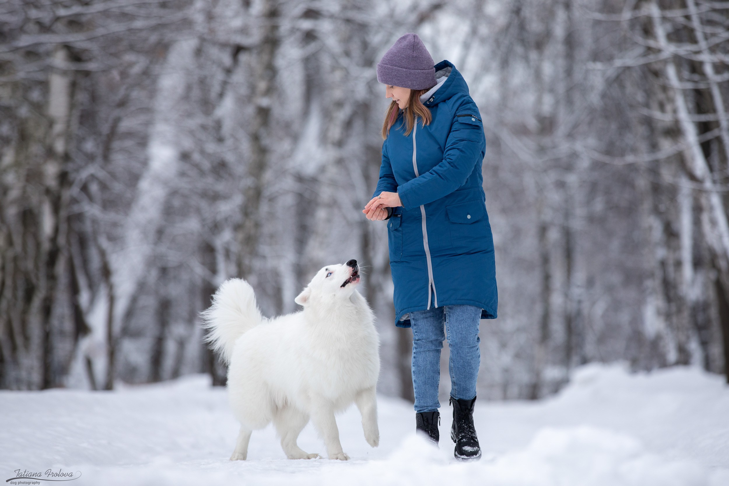 Фотопрогулка в парке Измайлово с якутской лайкой и его хозяйкой. Фотограф-анималист в Москве и Московской области Татьяна Фролова