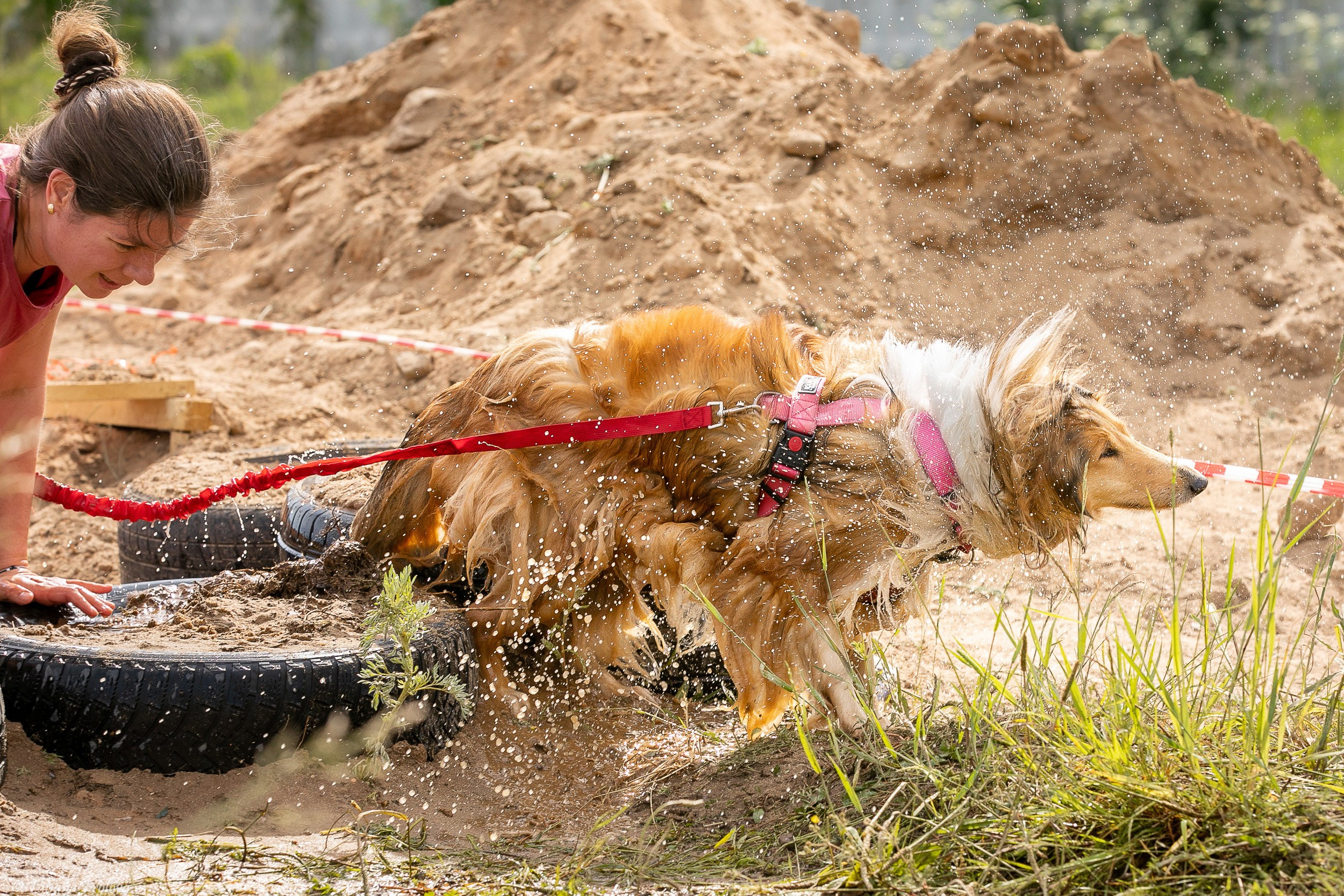 Фоторепортаж с забега с собаками. Фотограф-анималист в Москве и Московской области Татьяна Фролова