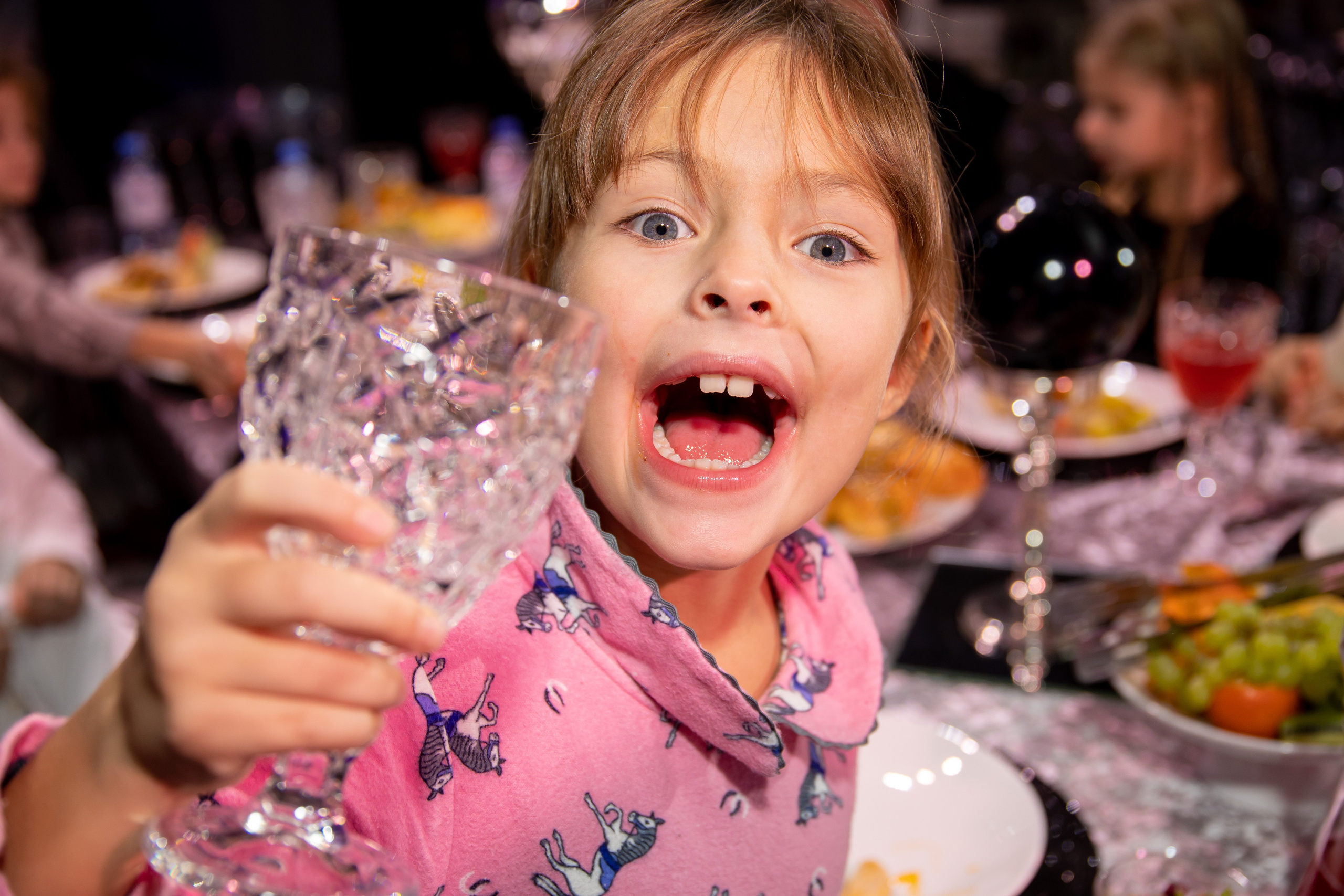 День Рождения. Фотограф на праздник, корпоратив, День Рождения и Юбилей в г. Санкт-Петербурге Алексей Анкушев