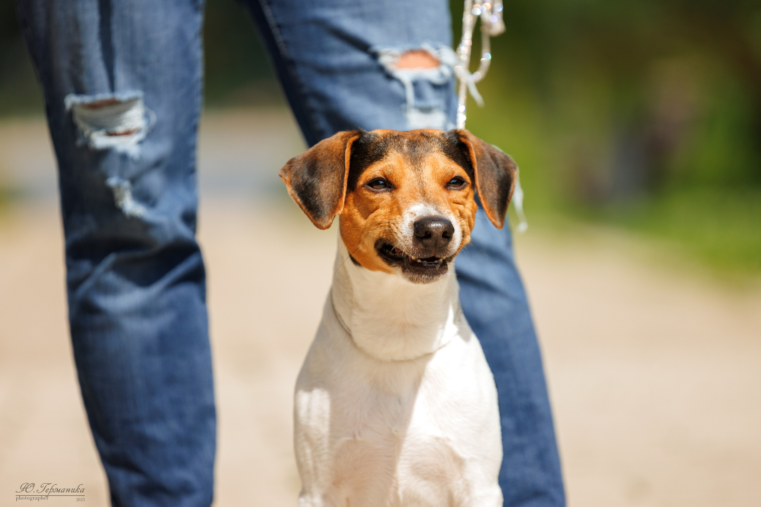Фотосет Бригада УХ)). Фотограф-анималист Юлия Германика