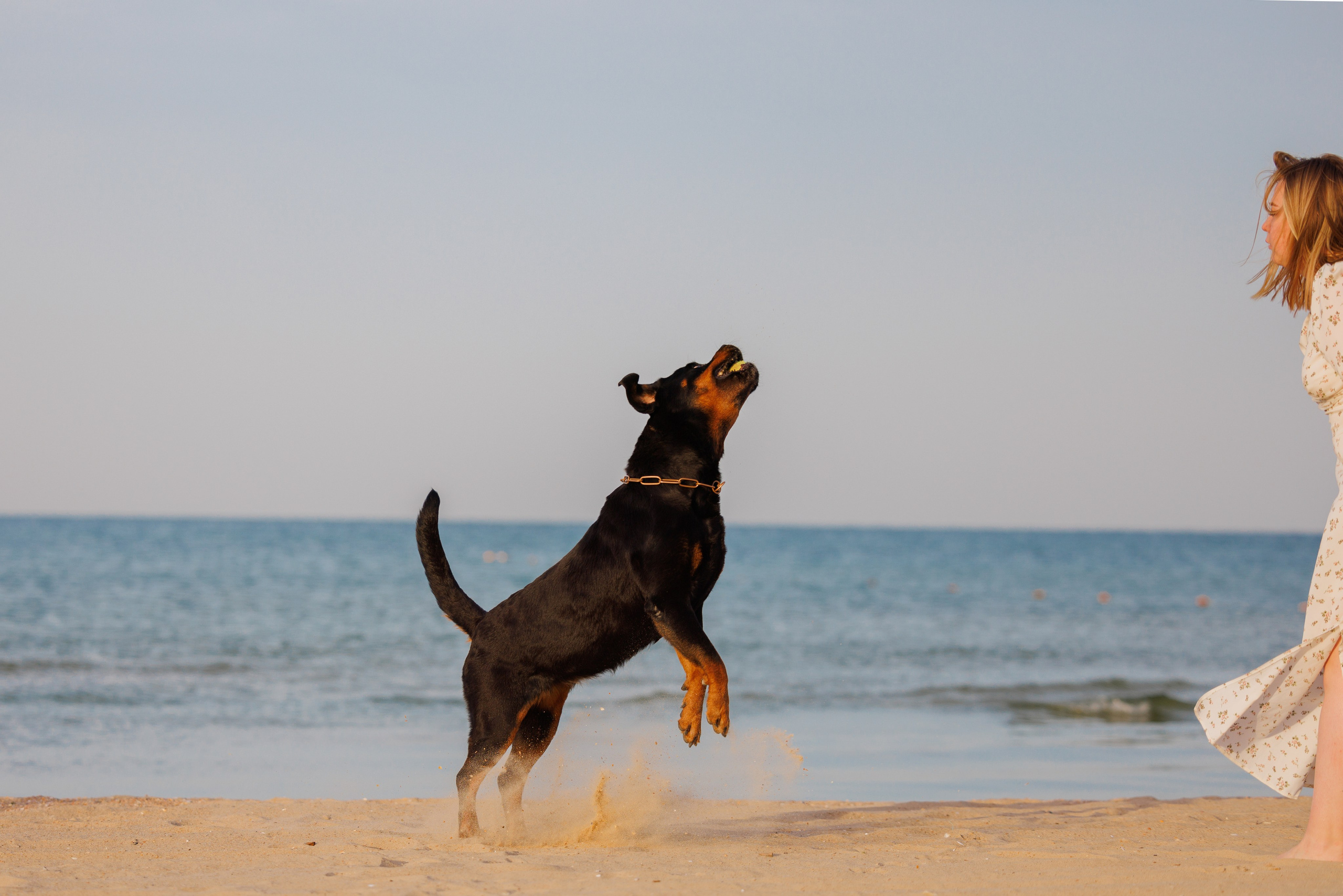 Свободная съемка. Фотограф-анималист Юлия Германика