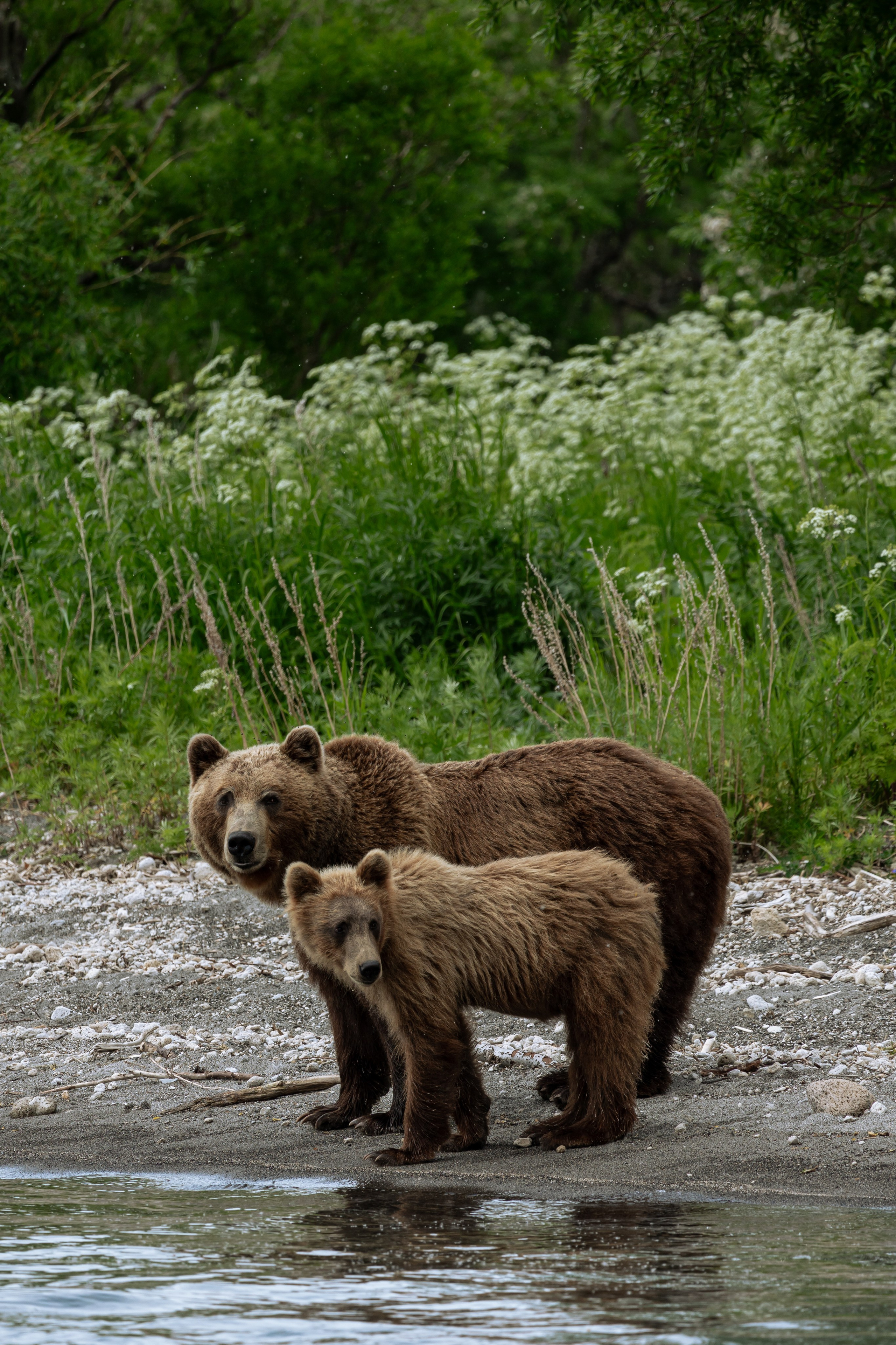 Репортаж туризм. Фотограф на Камчатке