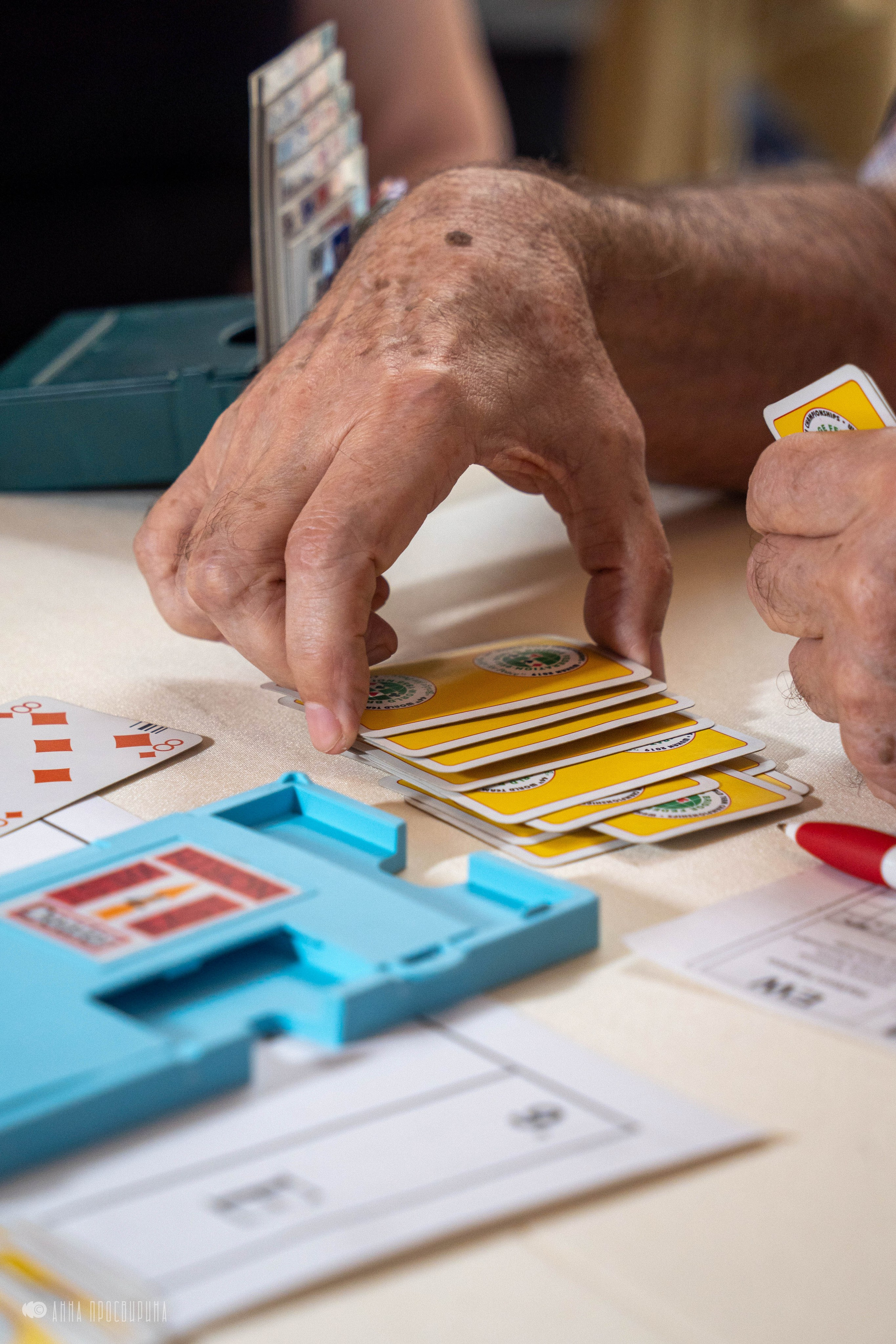 Турнир по бриджу, отель «Амбассадор». Ваш фотограф в Санкт-Петербурге Анна Просвирина