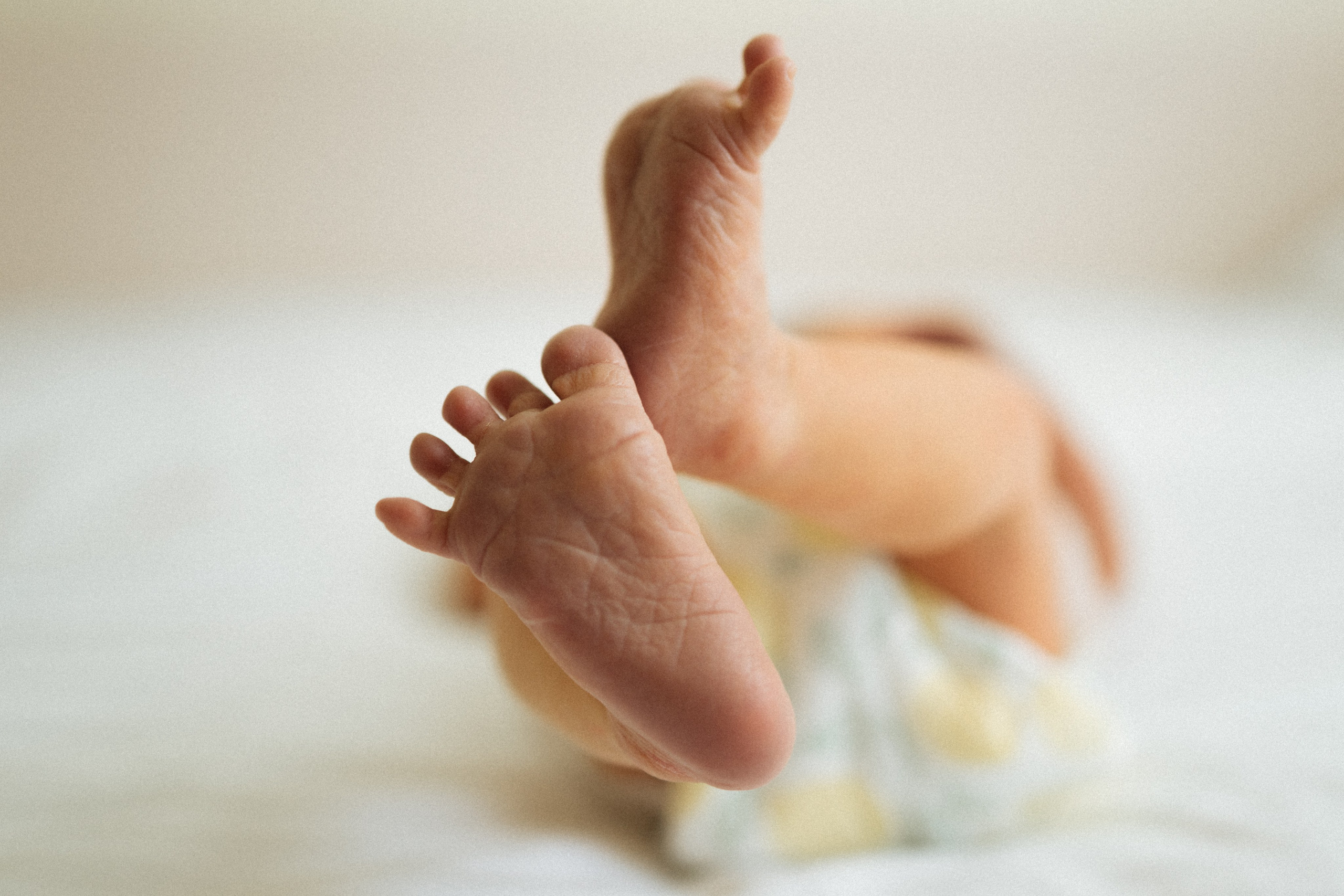 Домашние. Главная