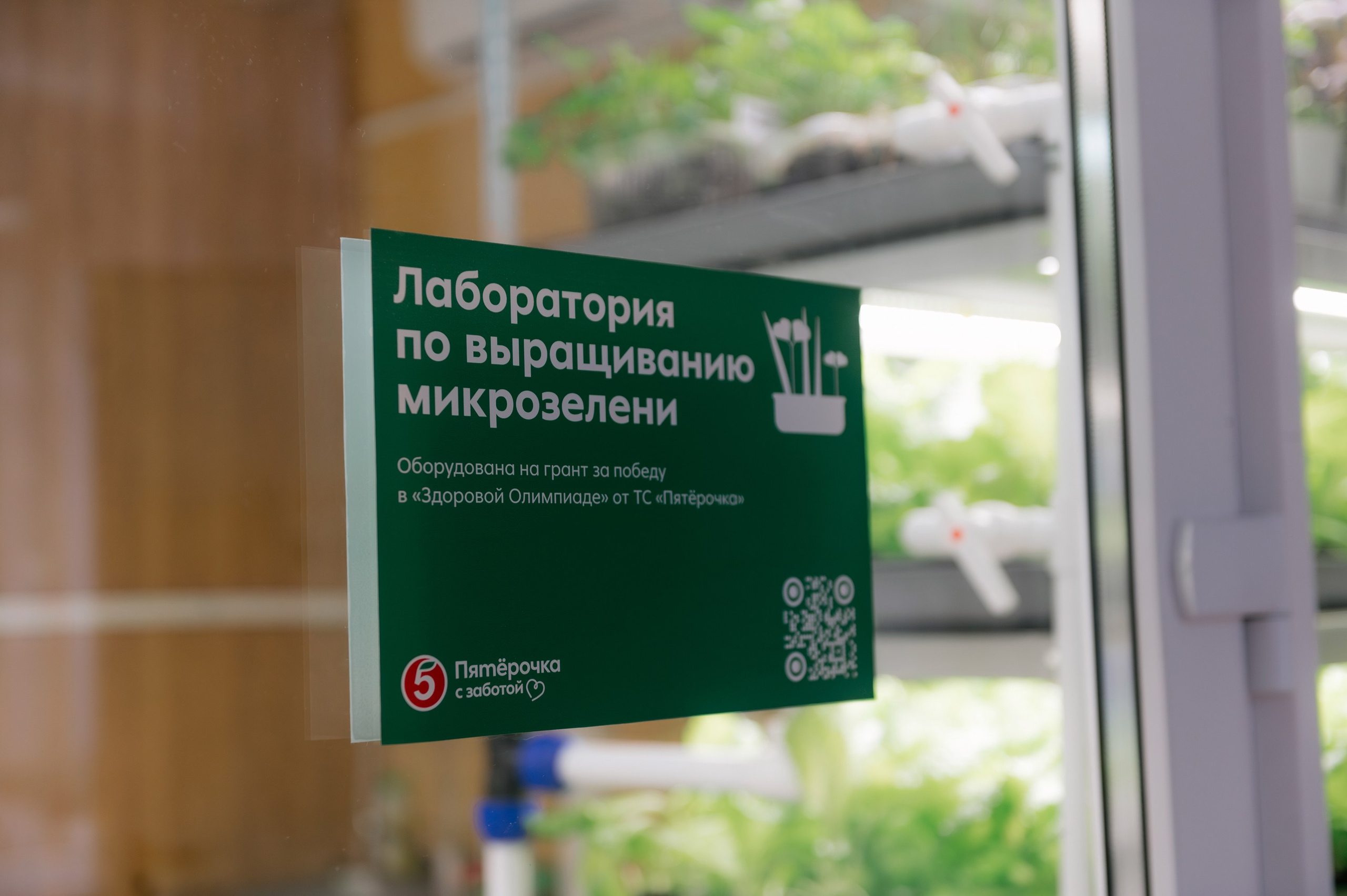 Пятёрочка. Школа питания. Фотограф в Волгограде Виталий Самойлов