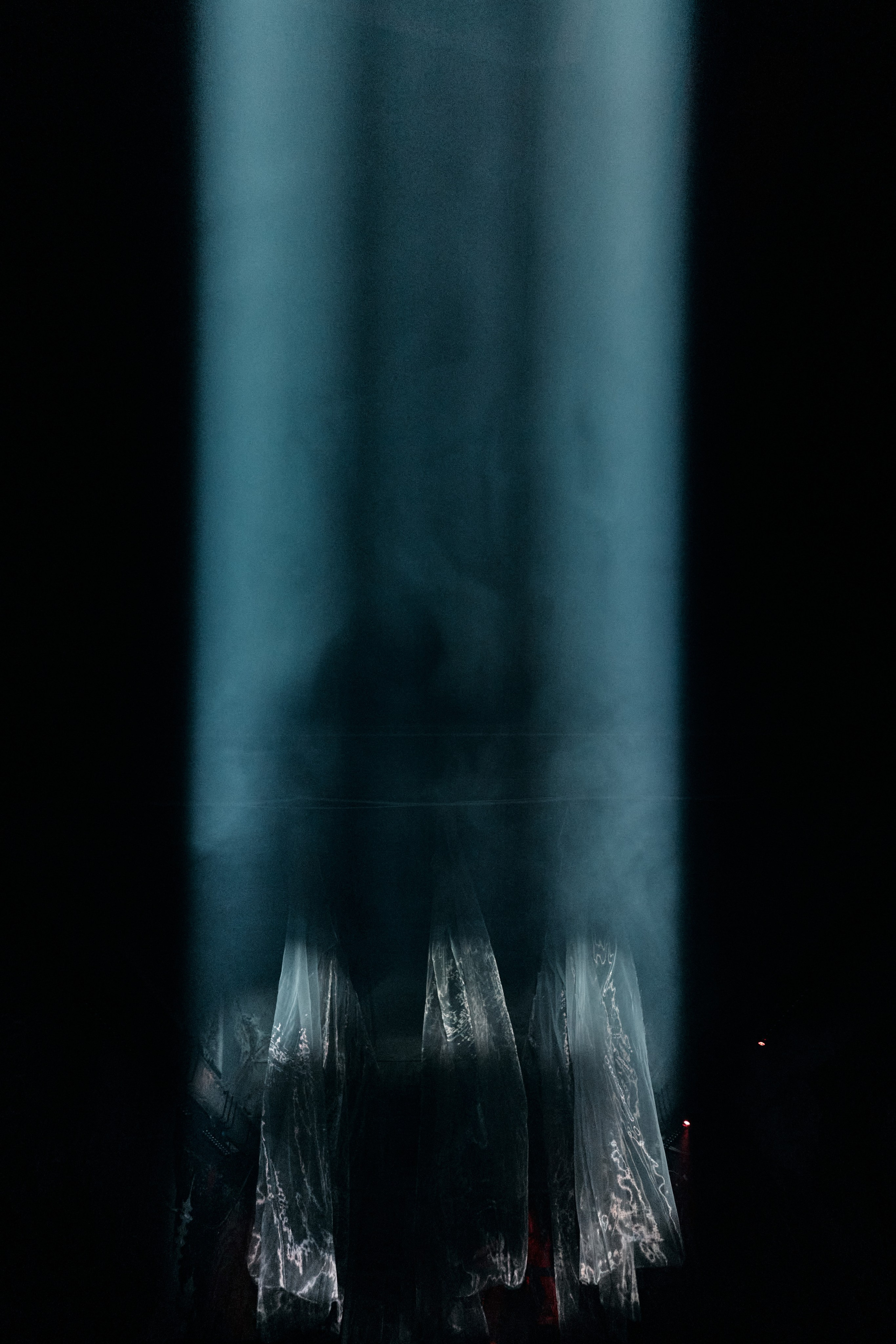 Концерты. NVSL STD