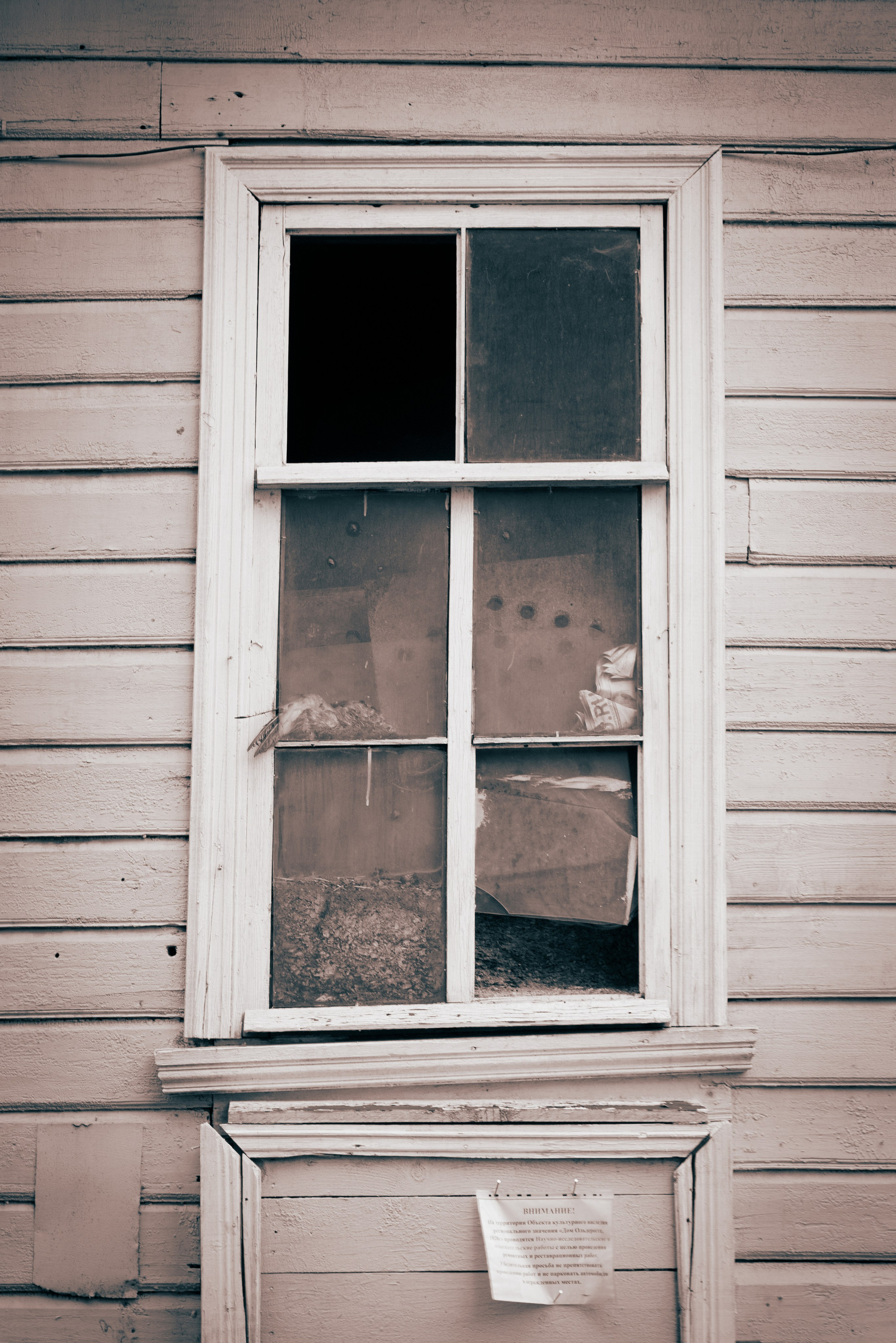 Из наблюдений. Плак или Квак