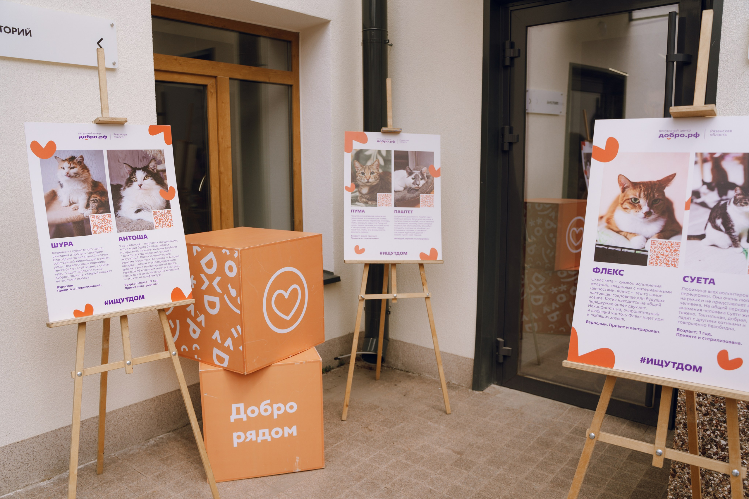 День молодежи в Доме молодежи 2025. Фотограф Надежда Погребняк | Рязань | Москва