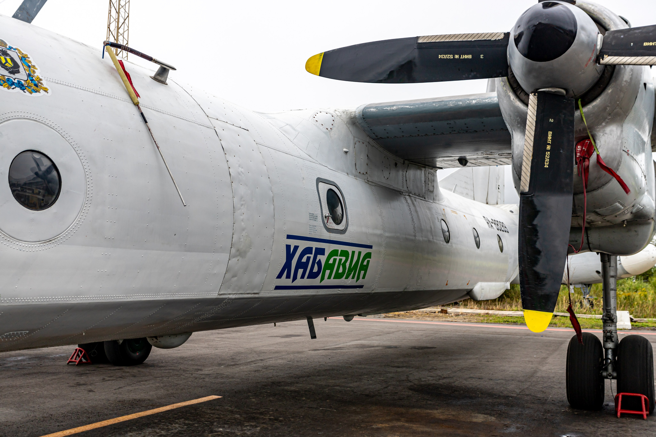 Споттинг 2024. Семейный и детский фотограф в Хабаровске Алевтина Проскурякова