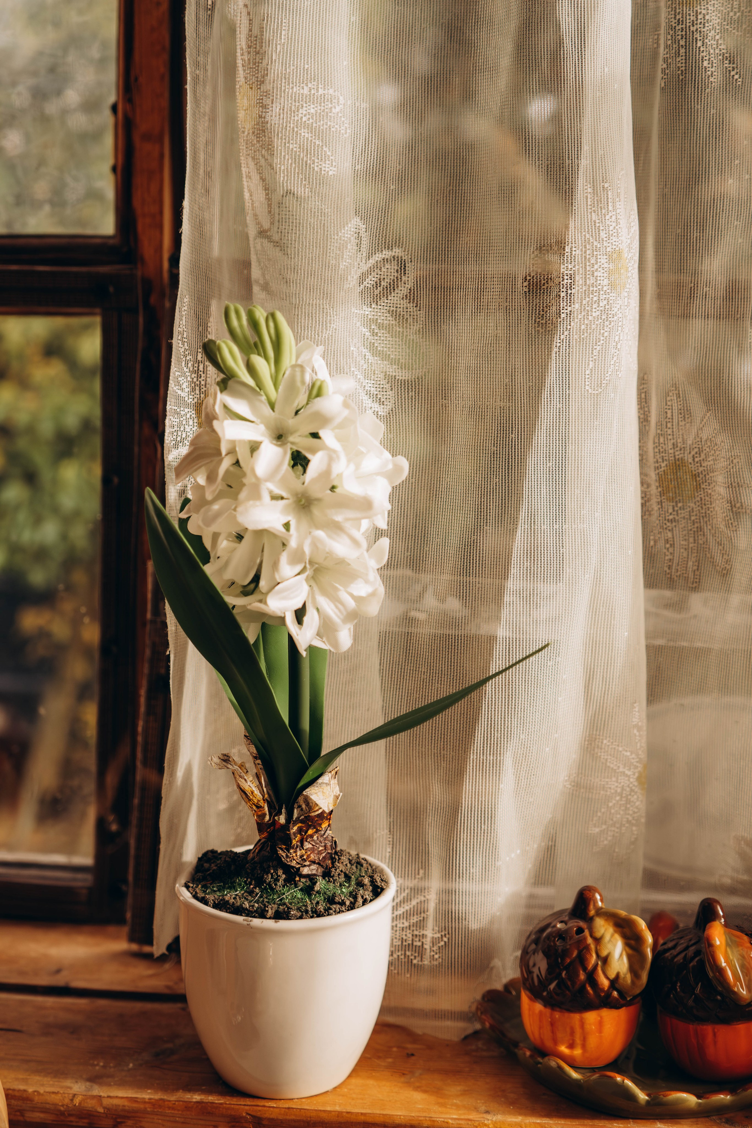 Съемка студии «Аж уютно». Фотограф Москва Валерия Веденина