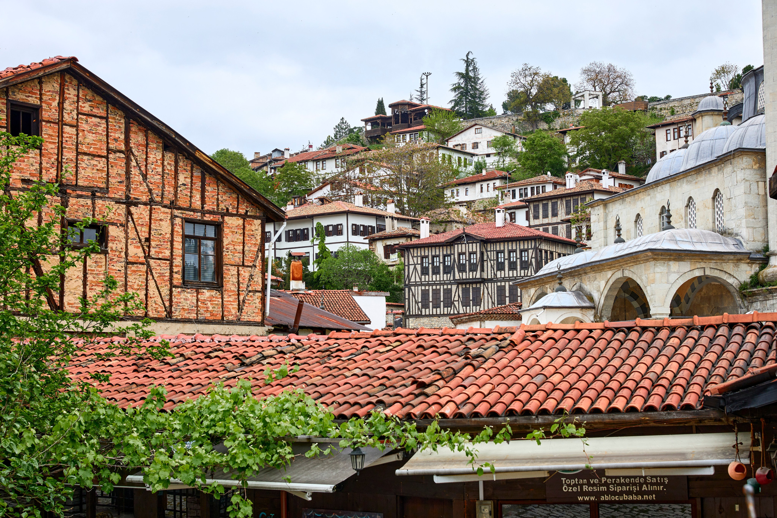 Сафранболу. Фото департамент круизного лайнера Астория Гранде