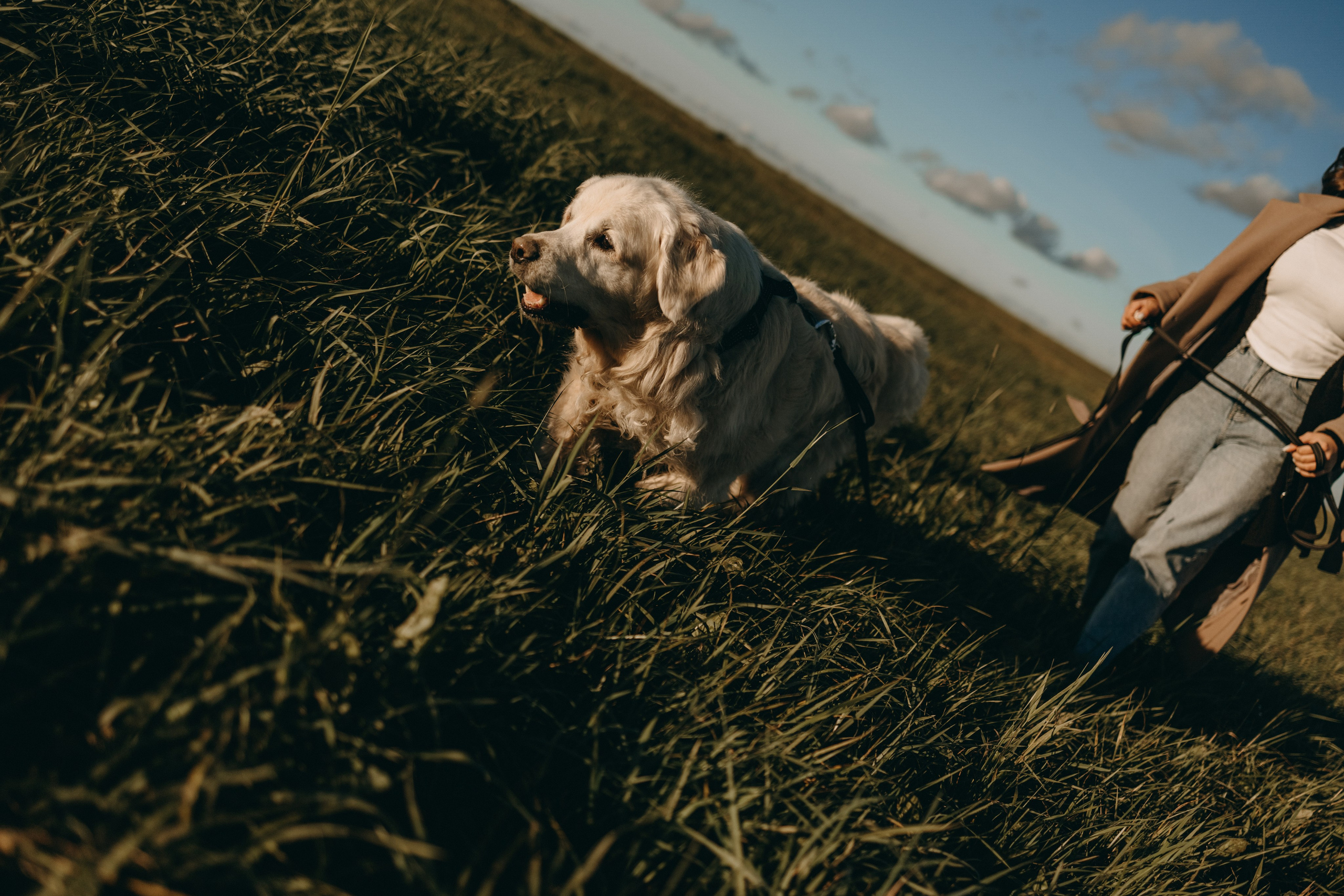 Лера и Скай. Фотограф — Анималист | Санкт-Петербург