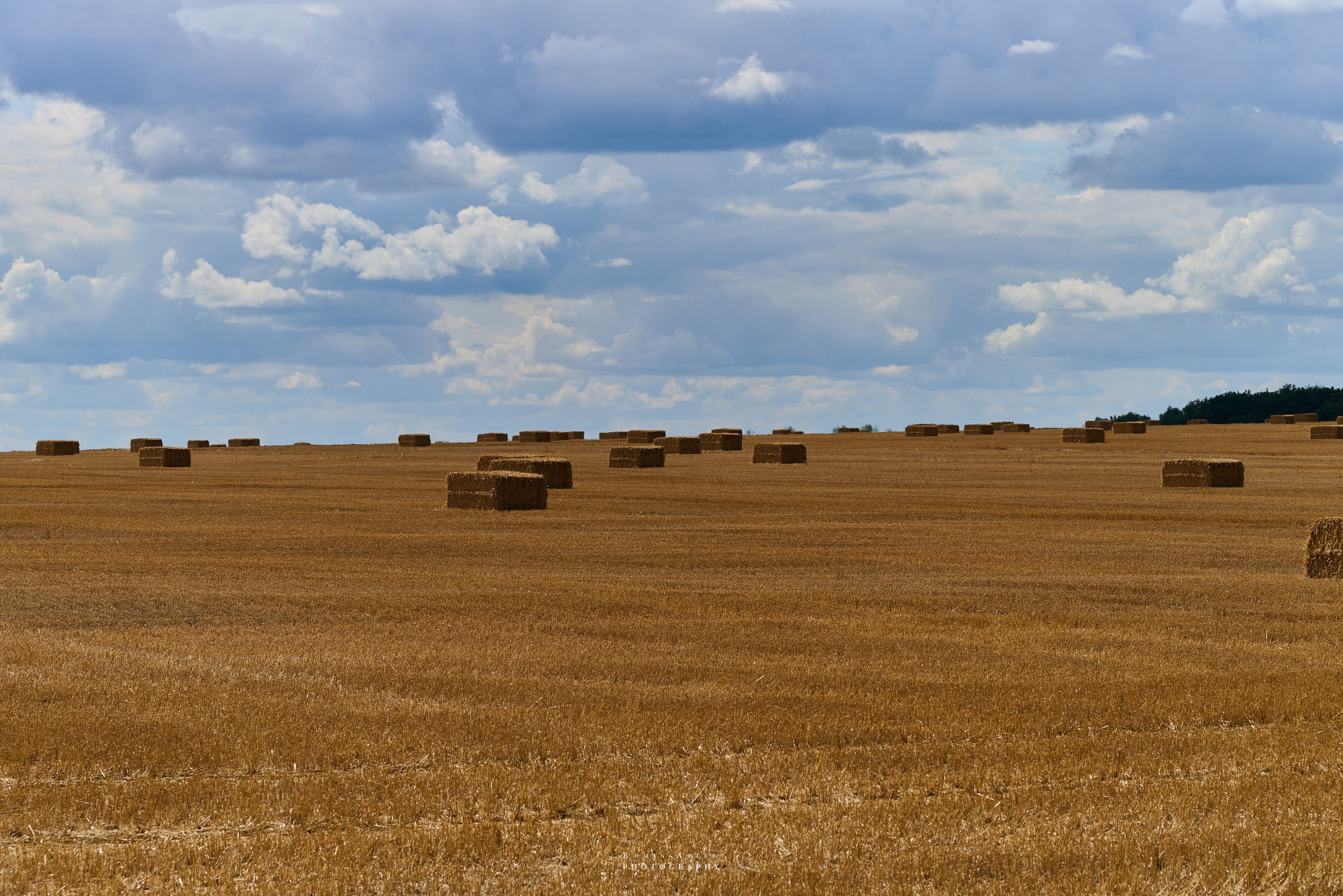 Воронеж. Август 2024. Фотограф Роман Адлер