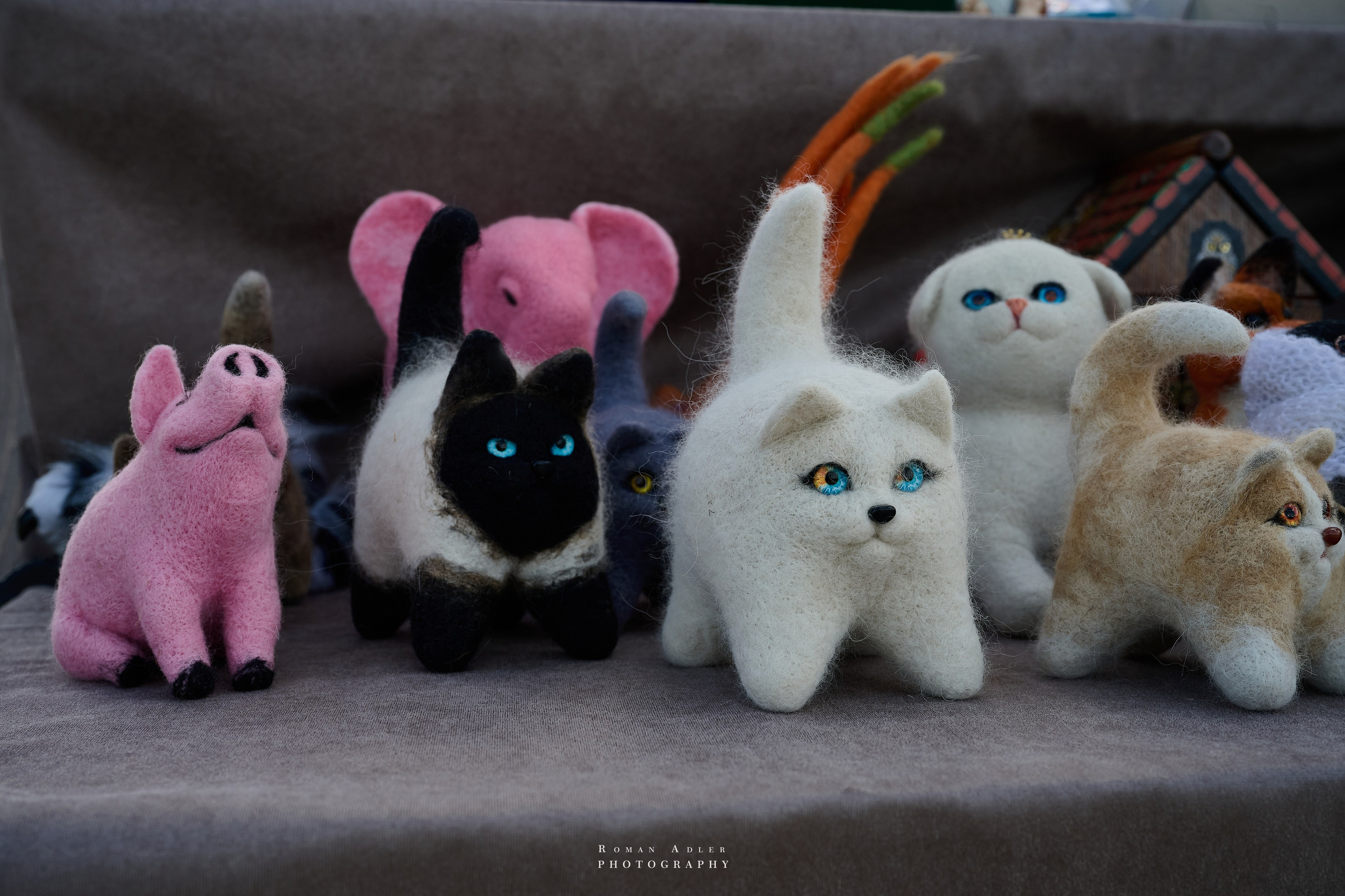 Суздаль. Июнь 2025. Фотограф Роман Адлер