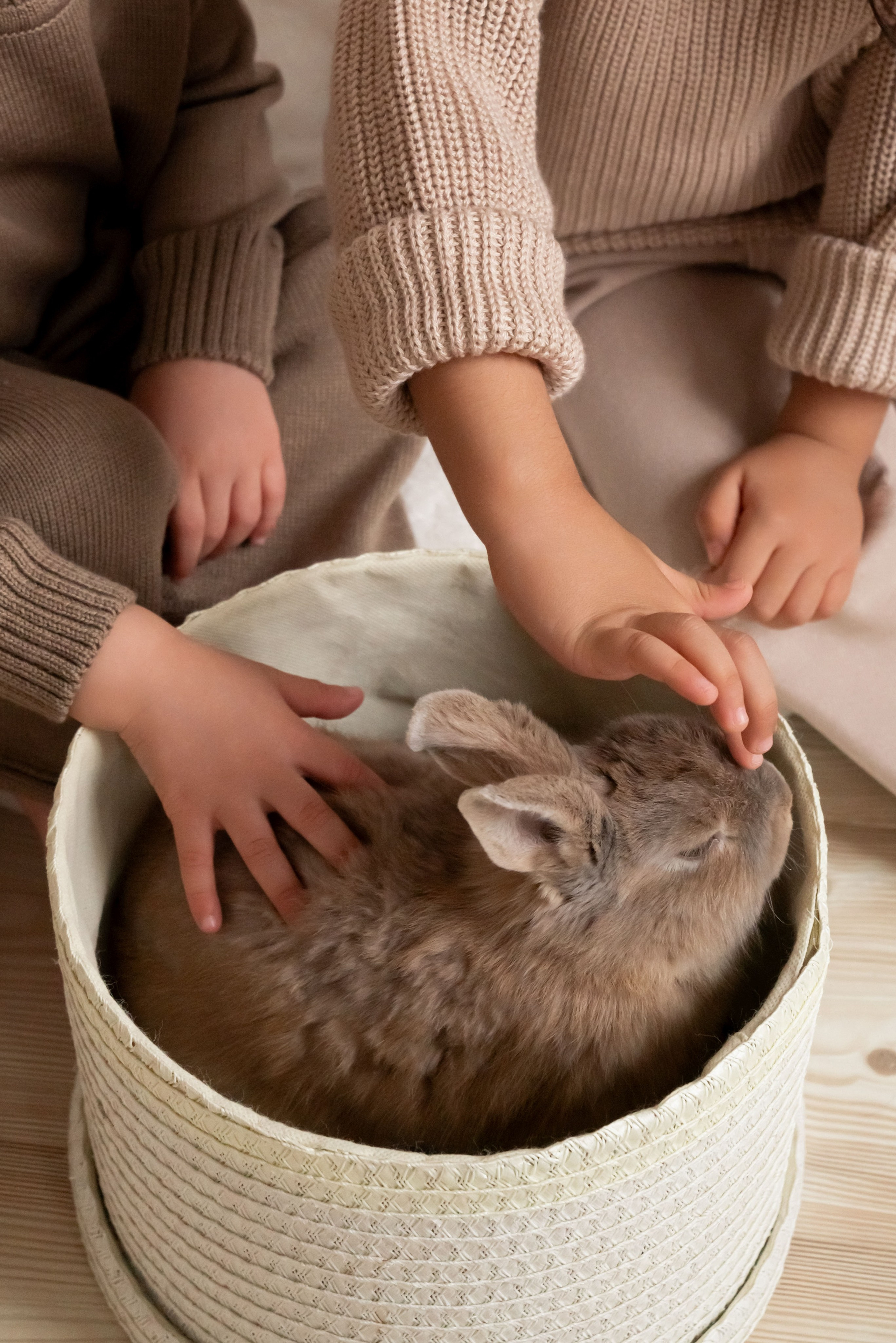 Детская студийная фотосессия. Профессиональный фотограф в Твери Иванова Юлия