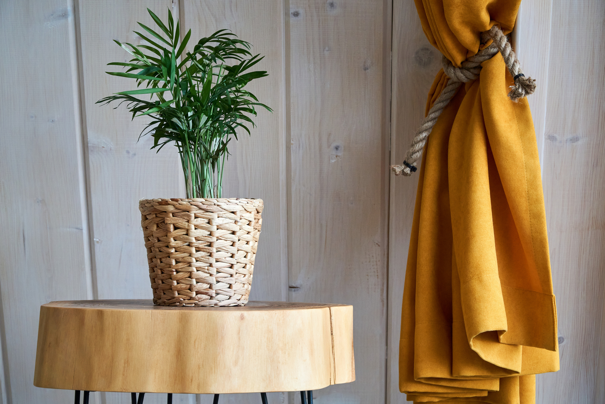 Shalash A-Frame. Артем Прошенков — фотограф и видеограф в Саратове