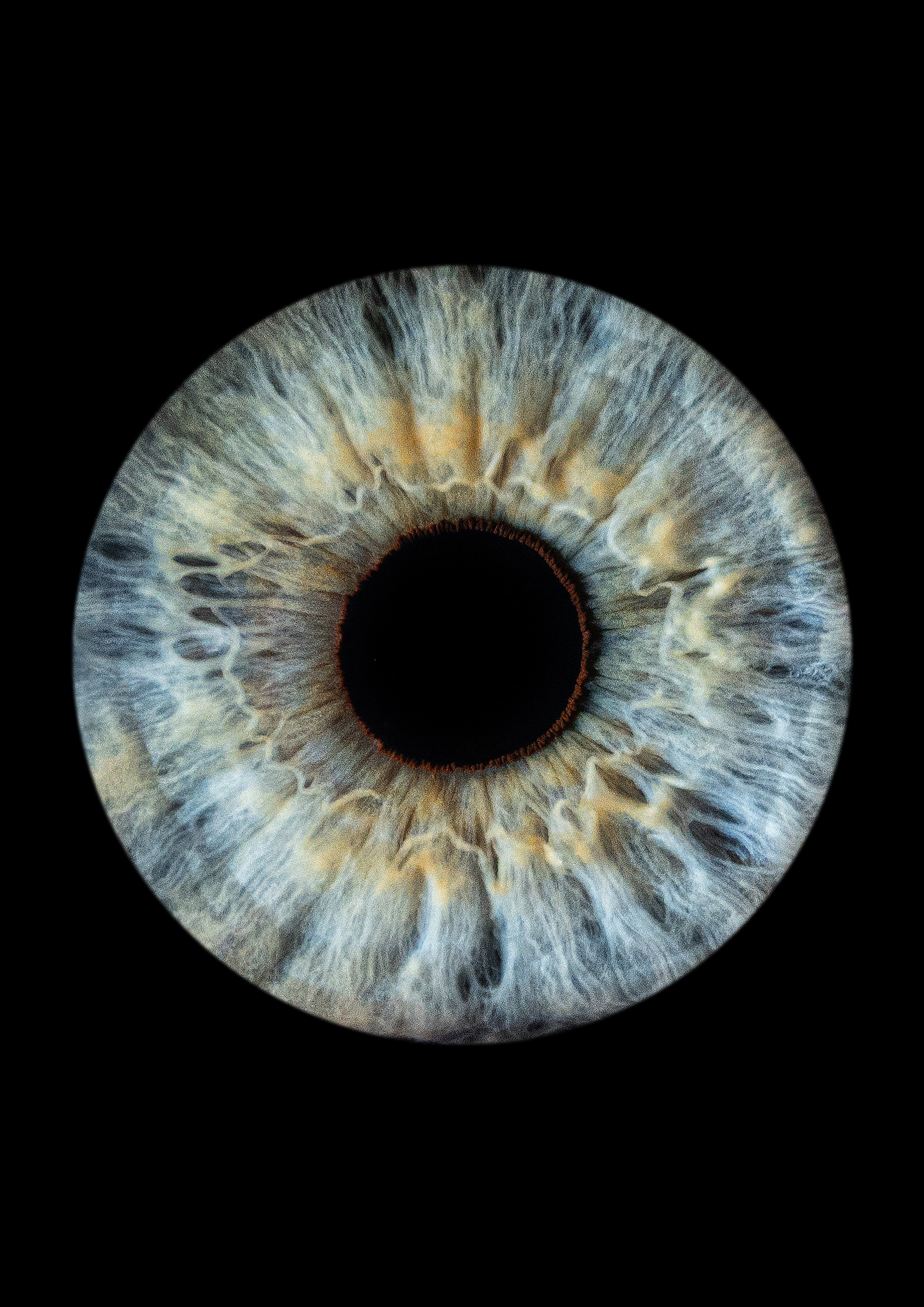 Примеры работ. Мой глаз