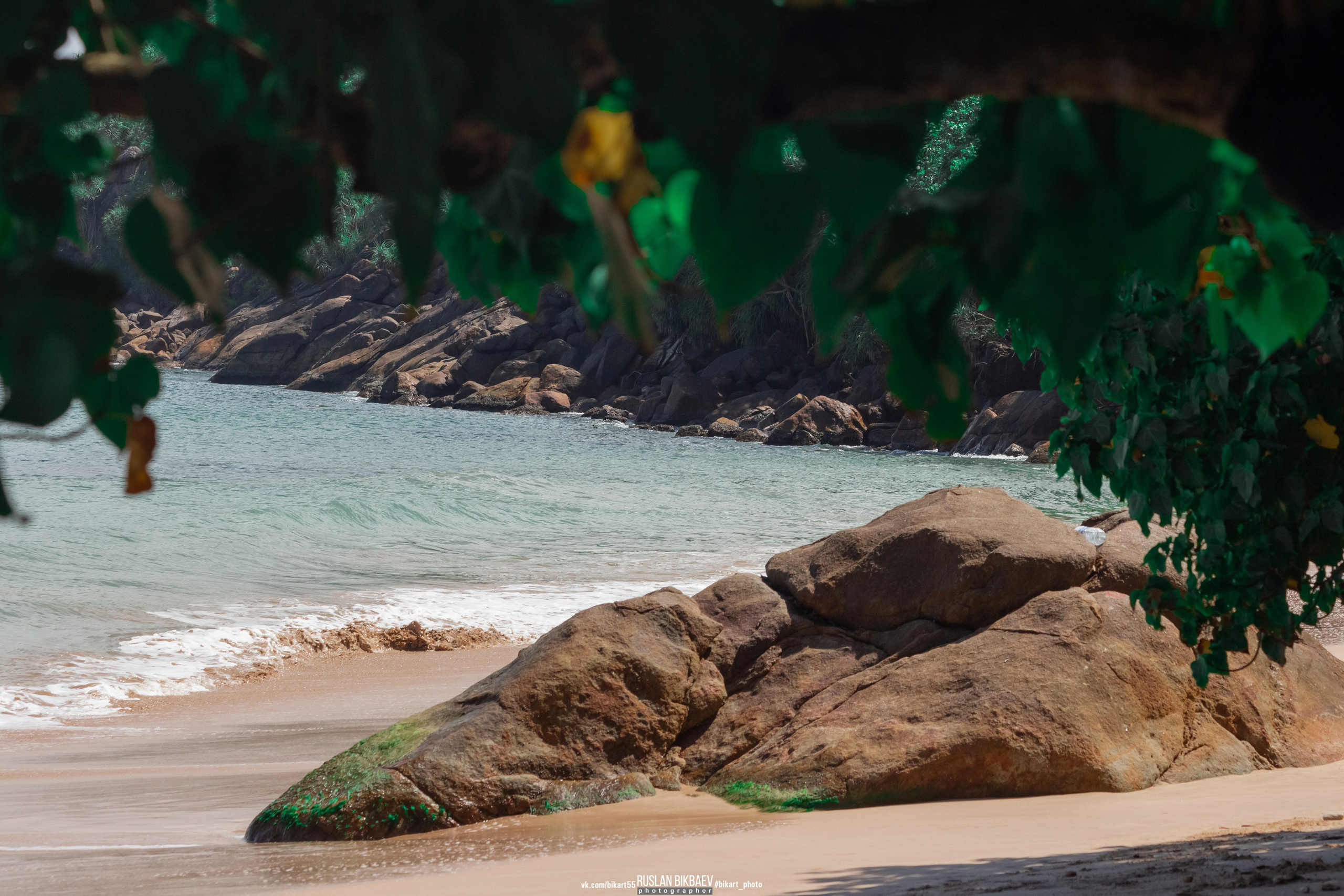 ШРИ-ЛАНКА 2025 / SRI LANKA 2025. Главная