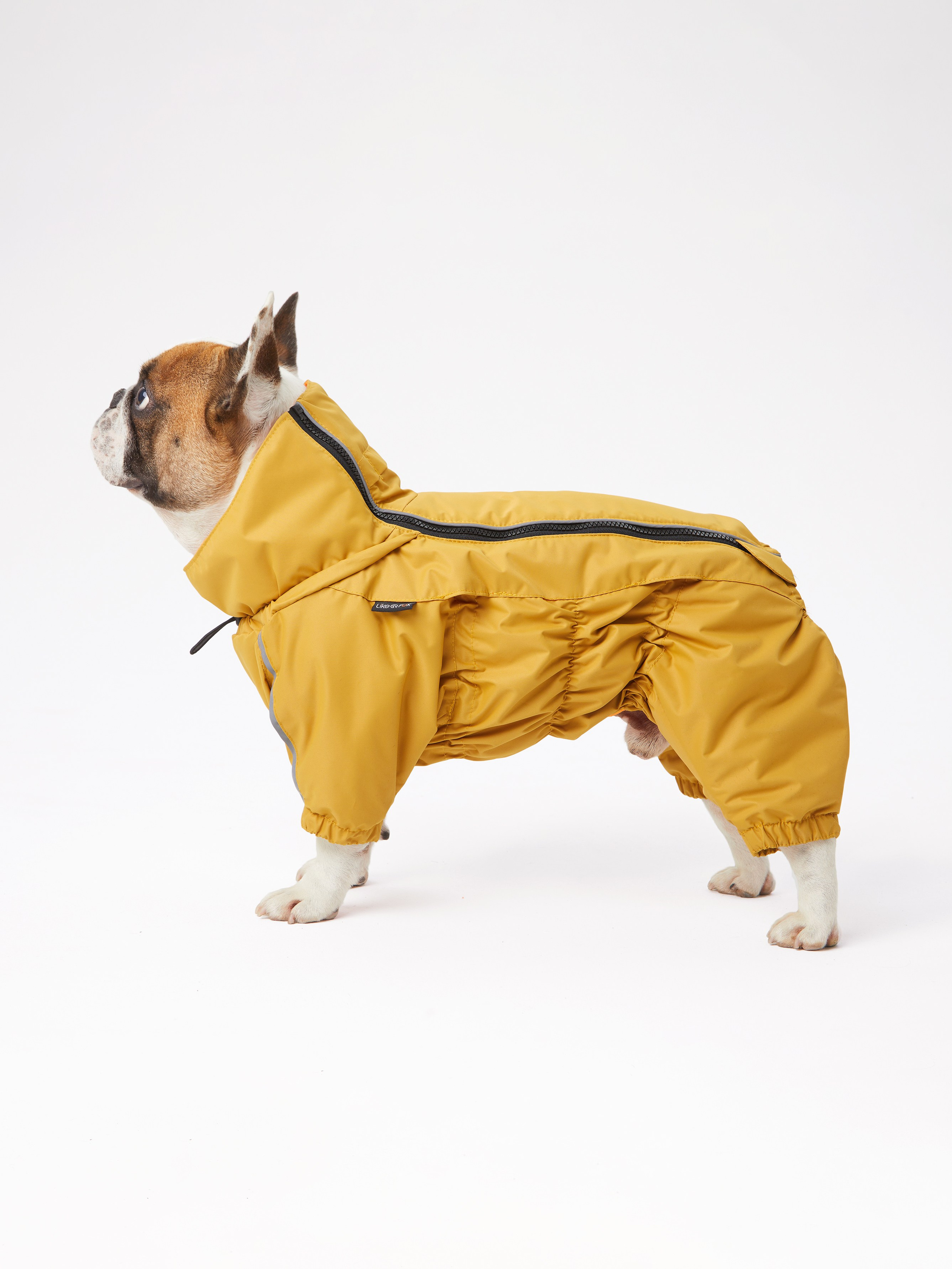 Каталоги. Pets Photography / Фотограф Собак