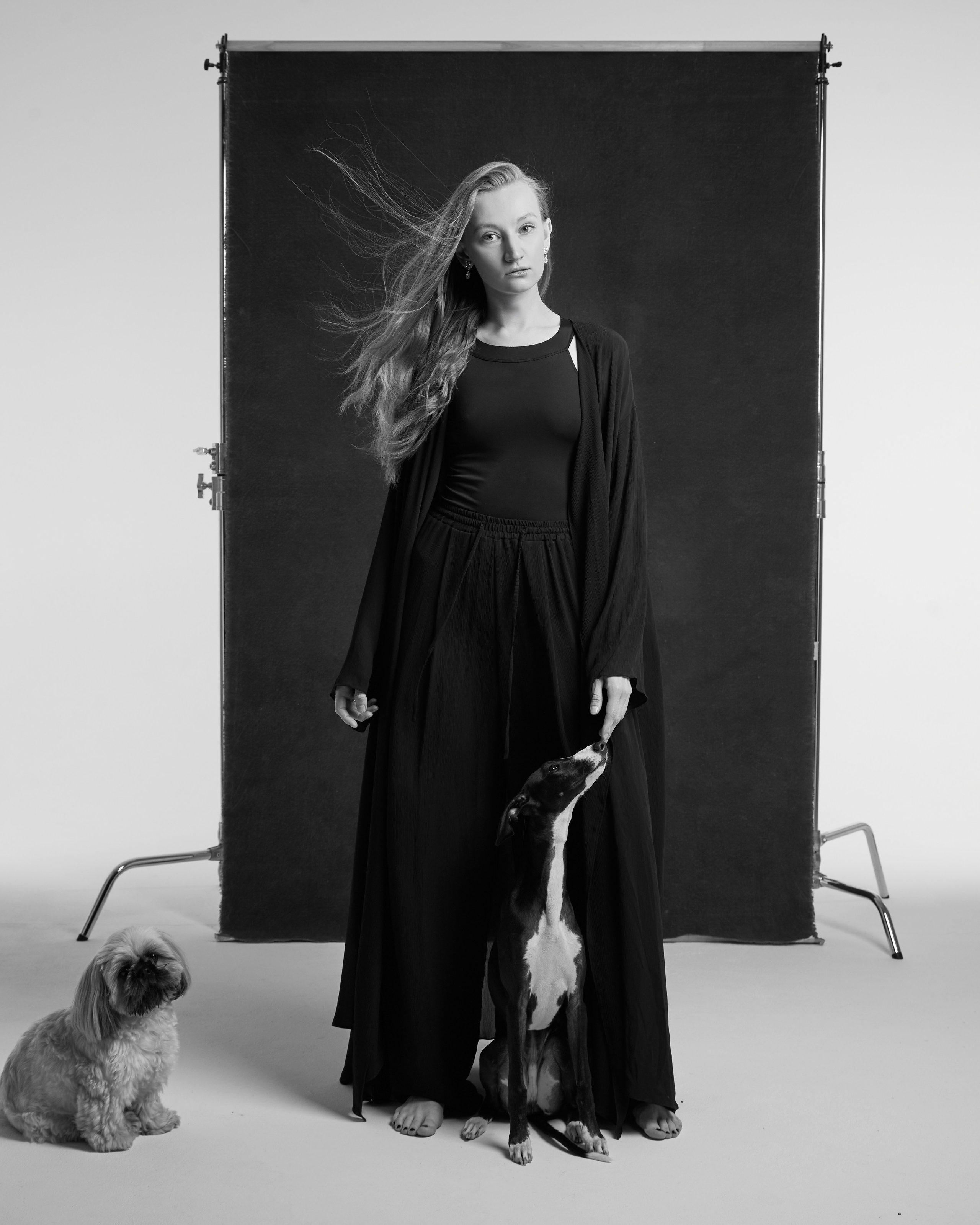 Собаки и их люди. Pets Photography / Фотограф Собак