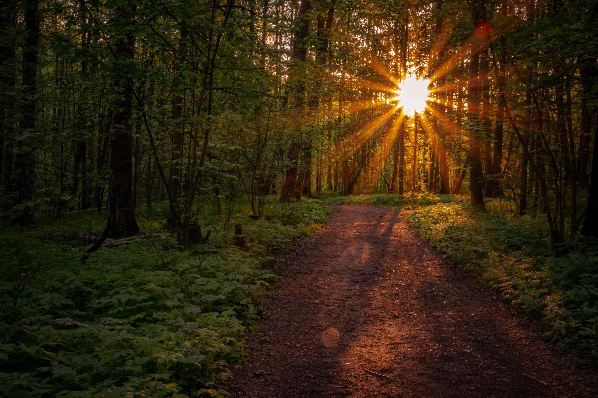 Пейзажная фотография. Интерьерная съёмка