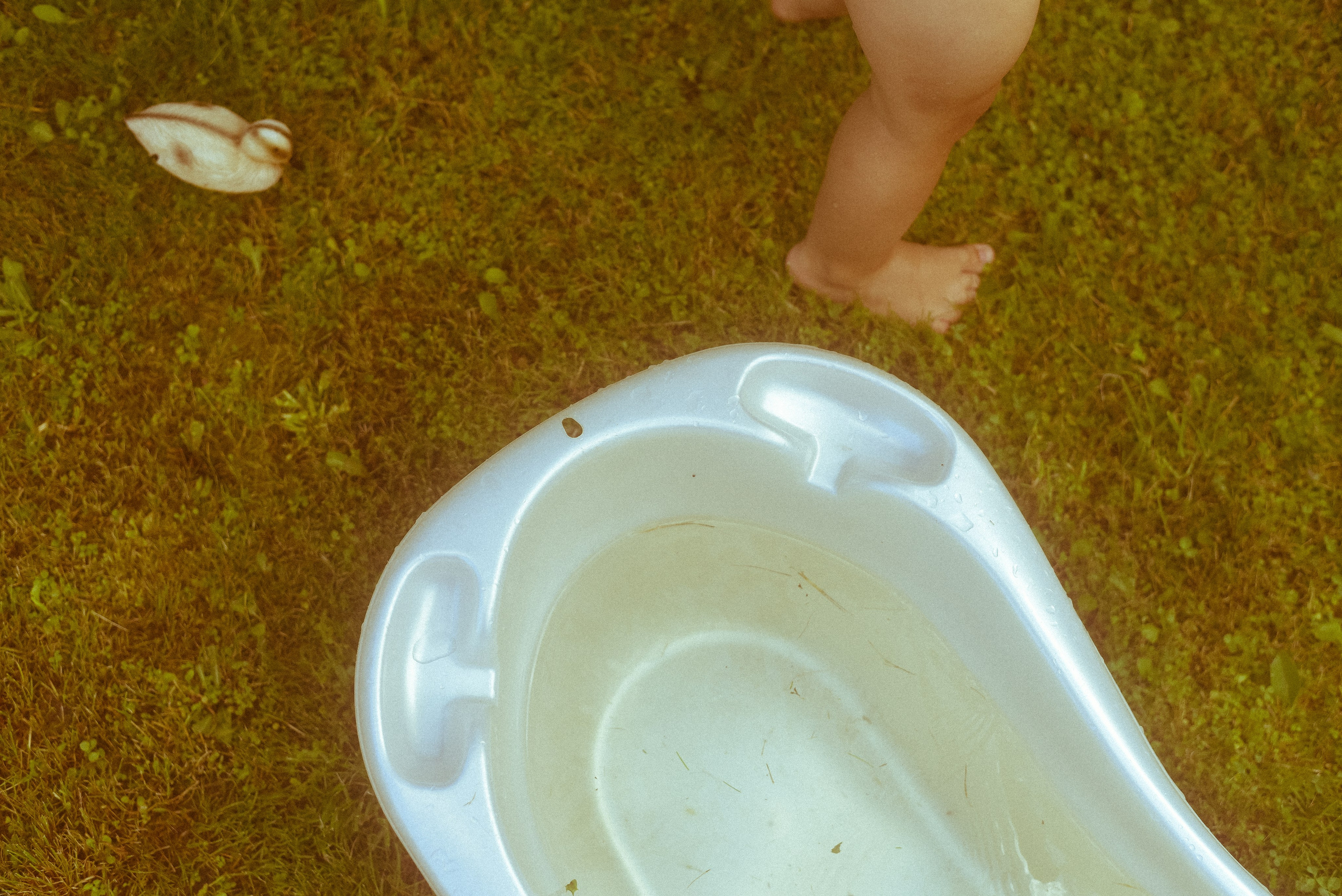 Мои дети. Детский и семейный фотограф в Новосибирске Саша Дорошенко