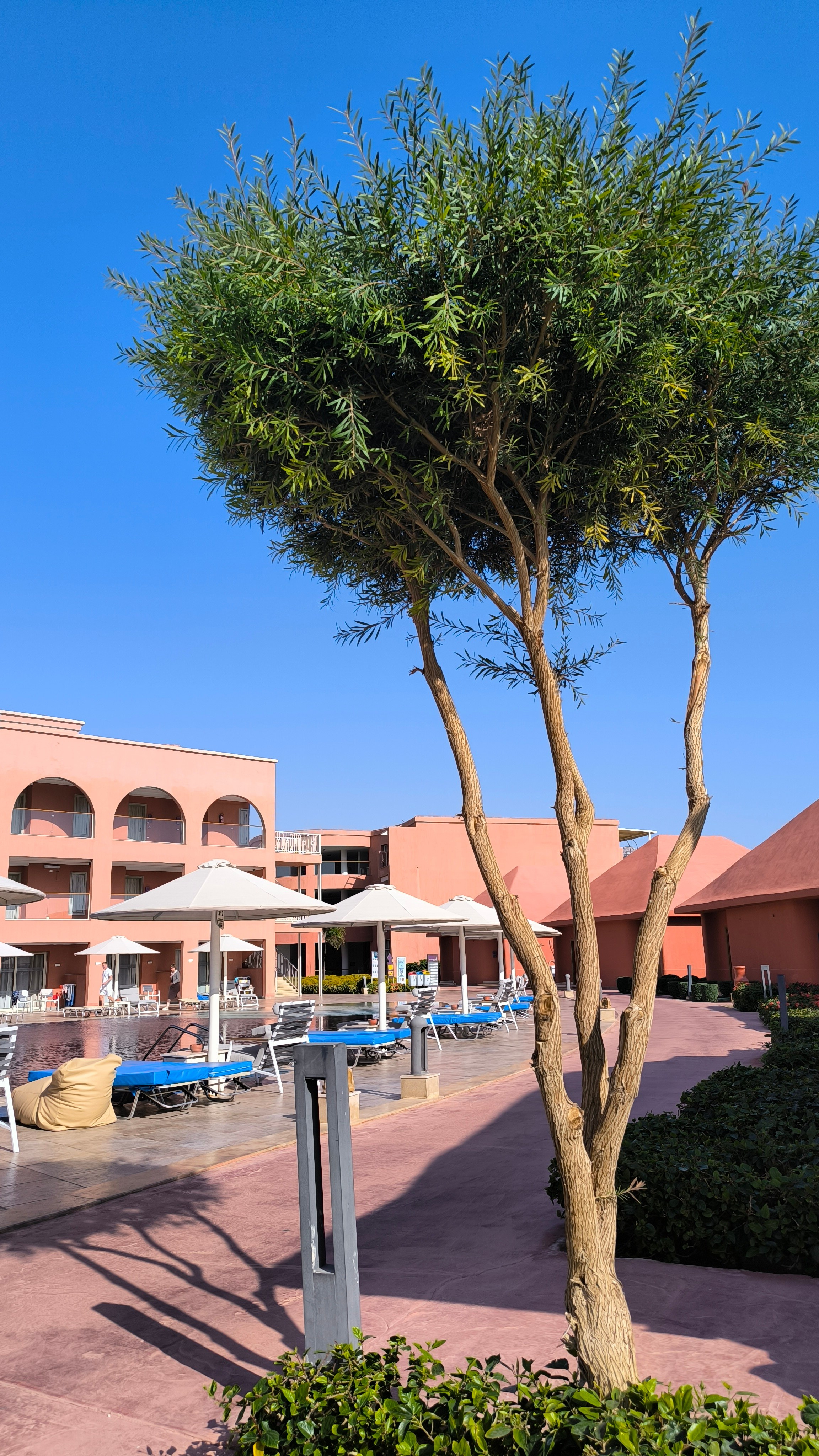 Шарм-Эль-Шейх. Светлана Иванова - профессиональный фотограф