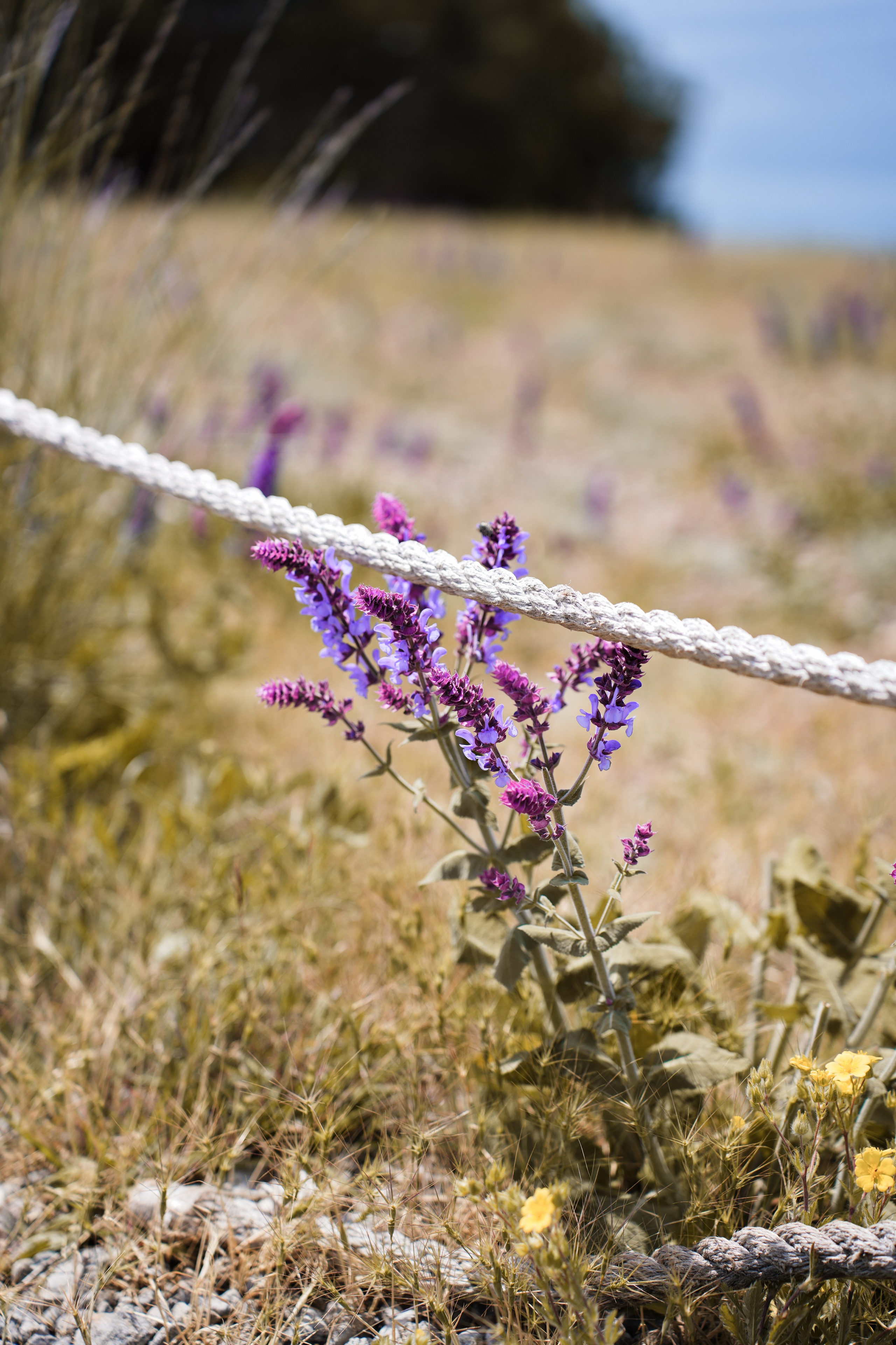 Крым. Анна Жукова — Режиссёр кино и цирка, сценарист, фотограф
