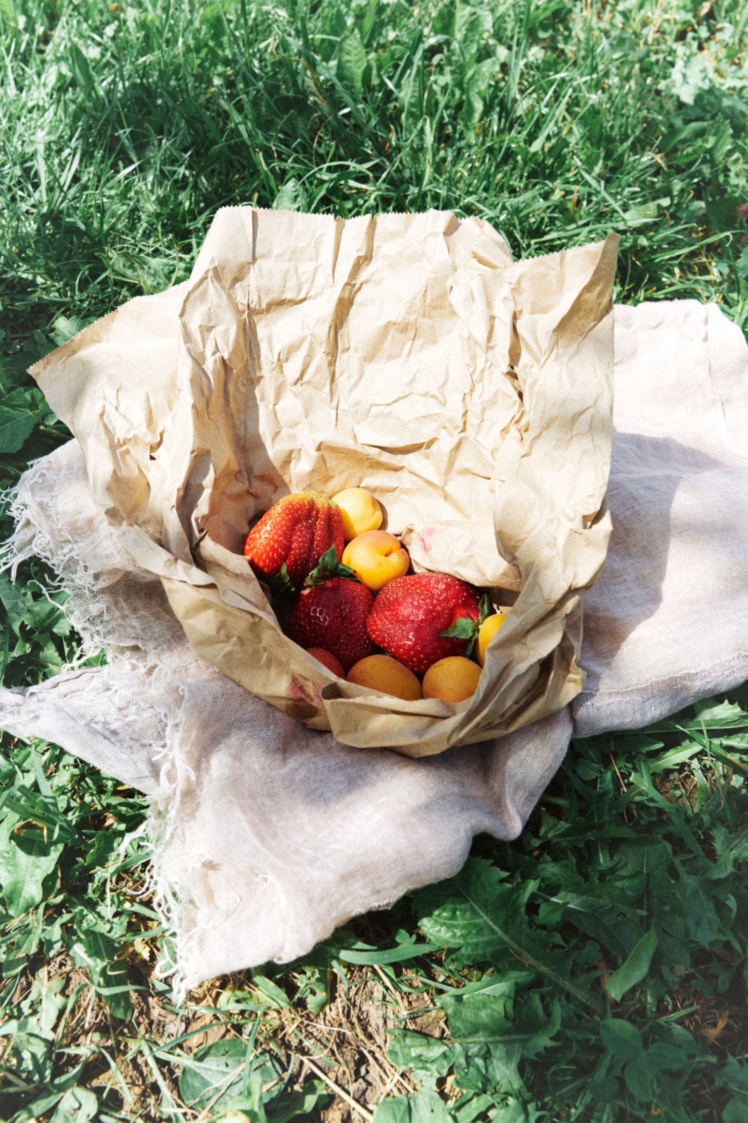 Юля. Фотограф и видеограф в Москве Юлия Прушинская