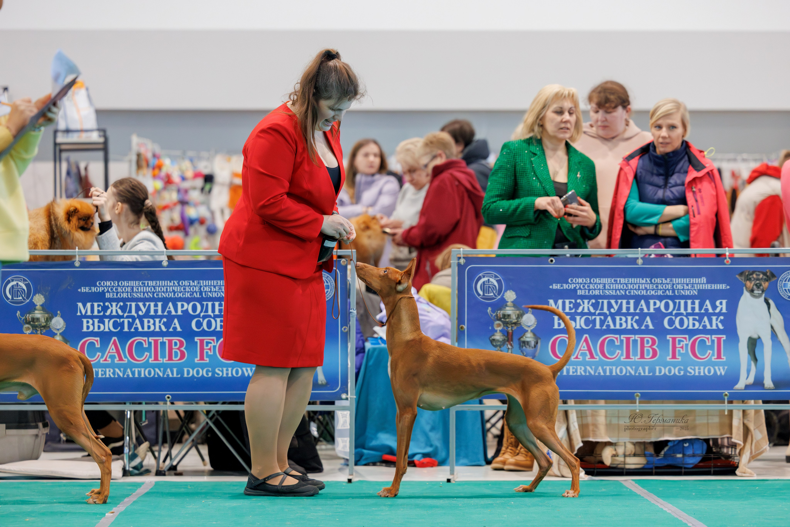 Минск 1-2.03.2025. Фотограф-анималист Юлия Германика