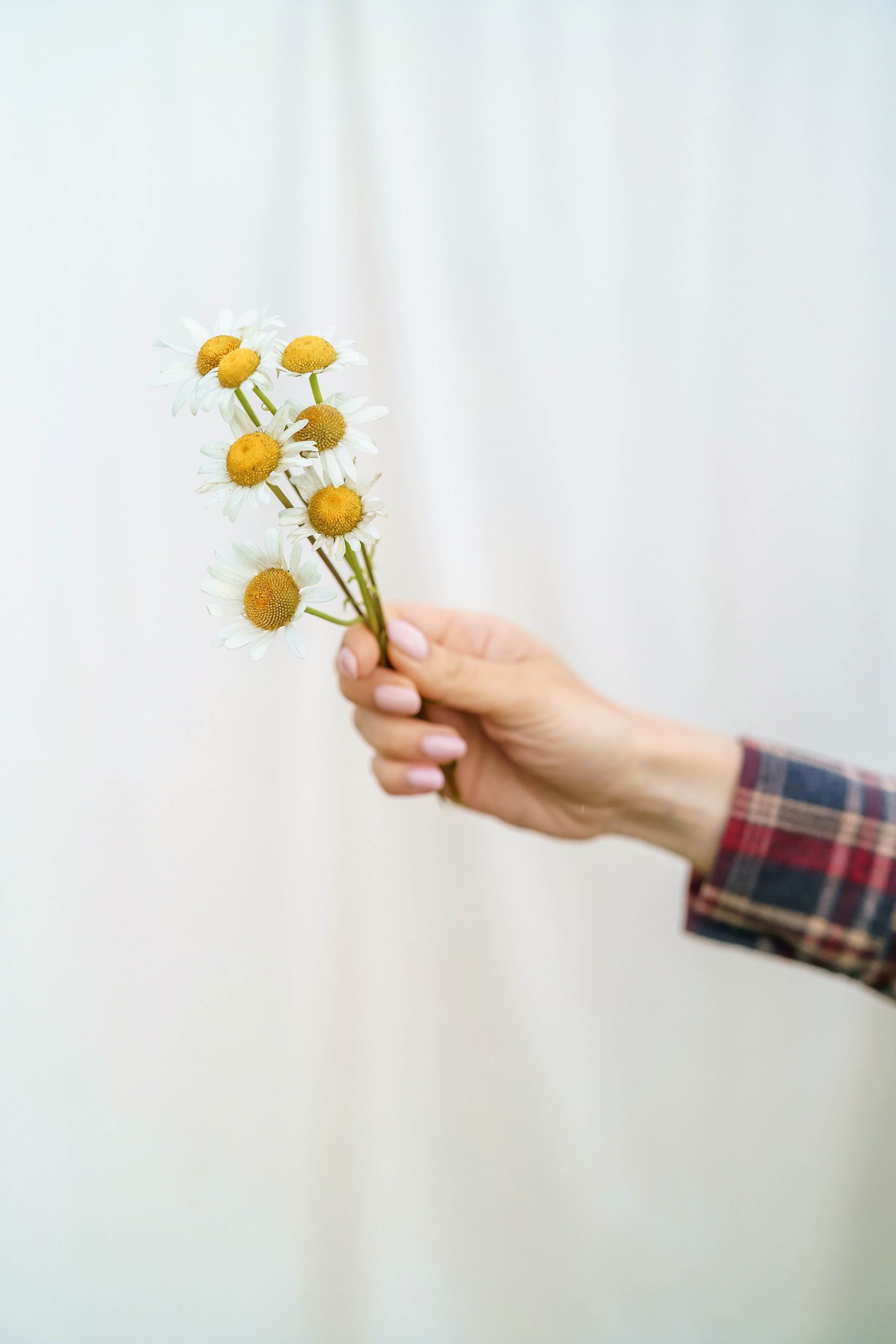 . Фотограф в Москве и Одинцово