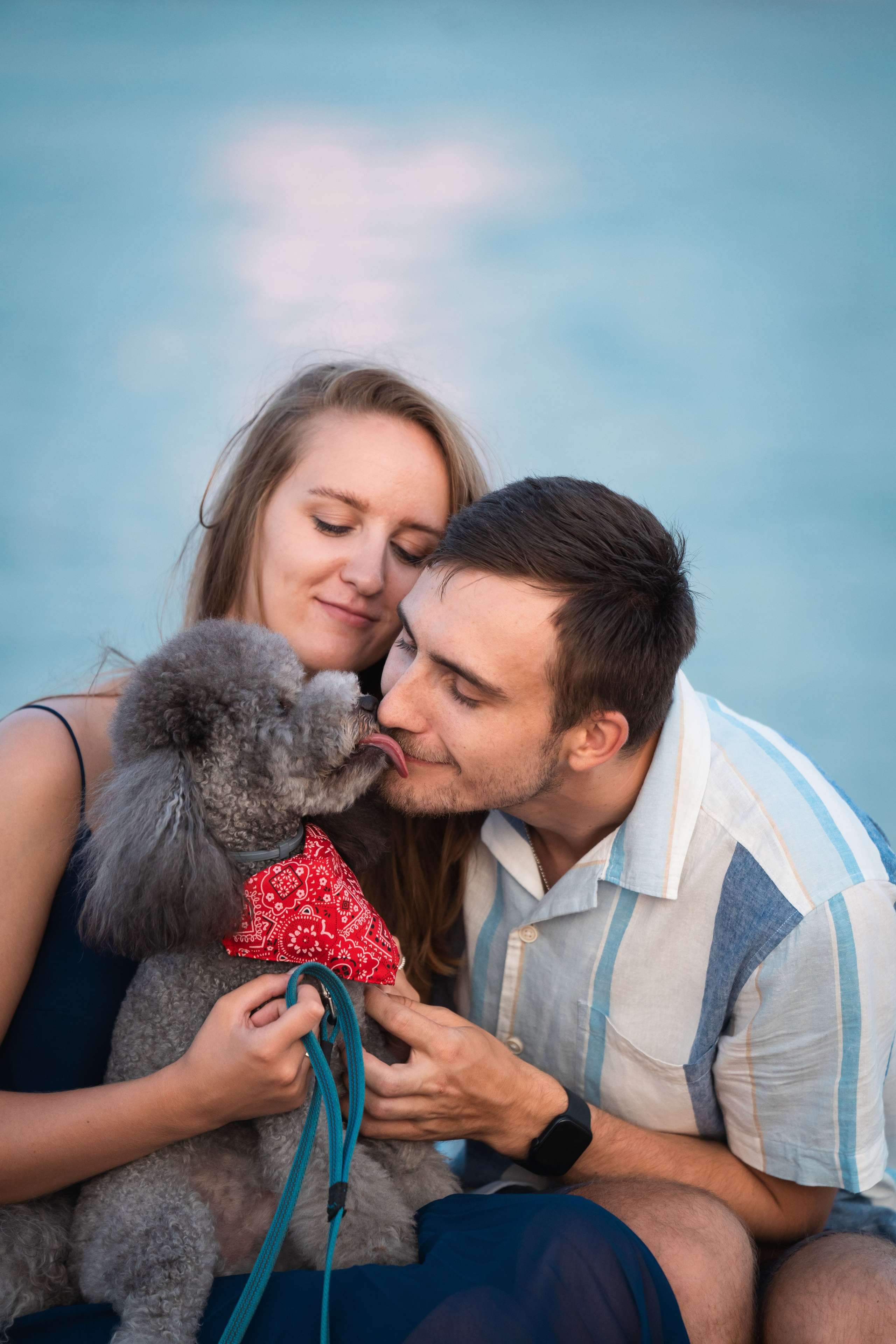 В Белграде на набережной. Фотограф анималист