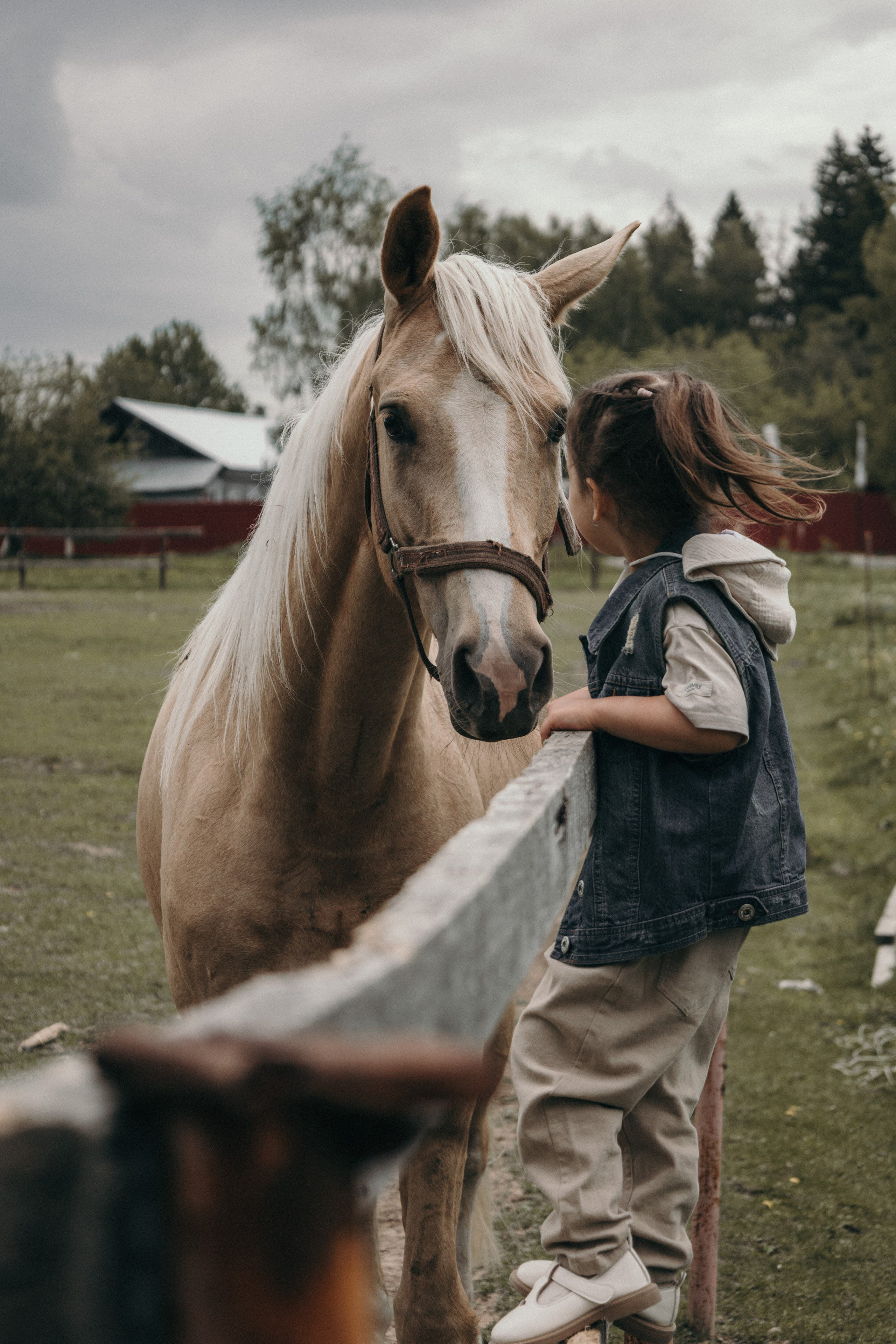Фотосессия с лошадками Подмосковье. Семейный фотограф в Москве, Щелково, Фрязино _ Виктория Степанова