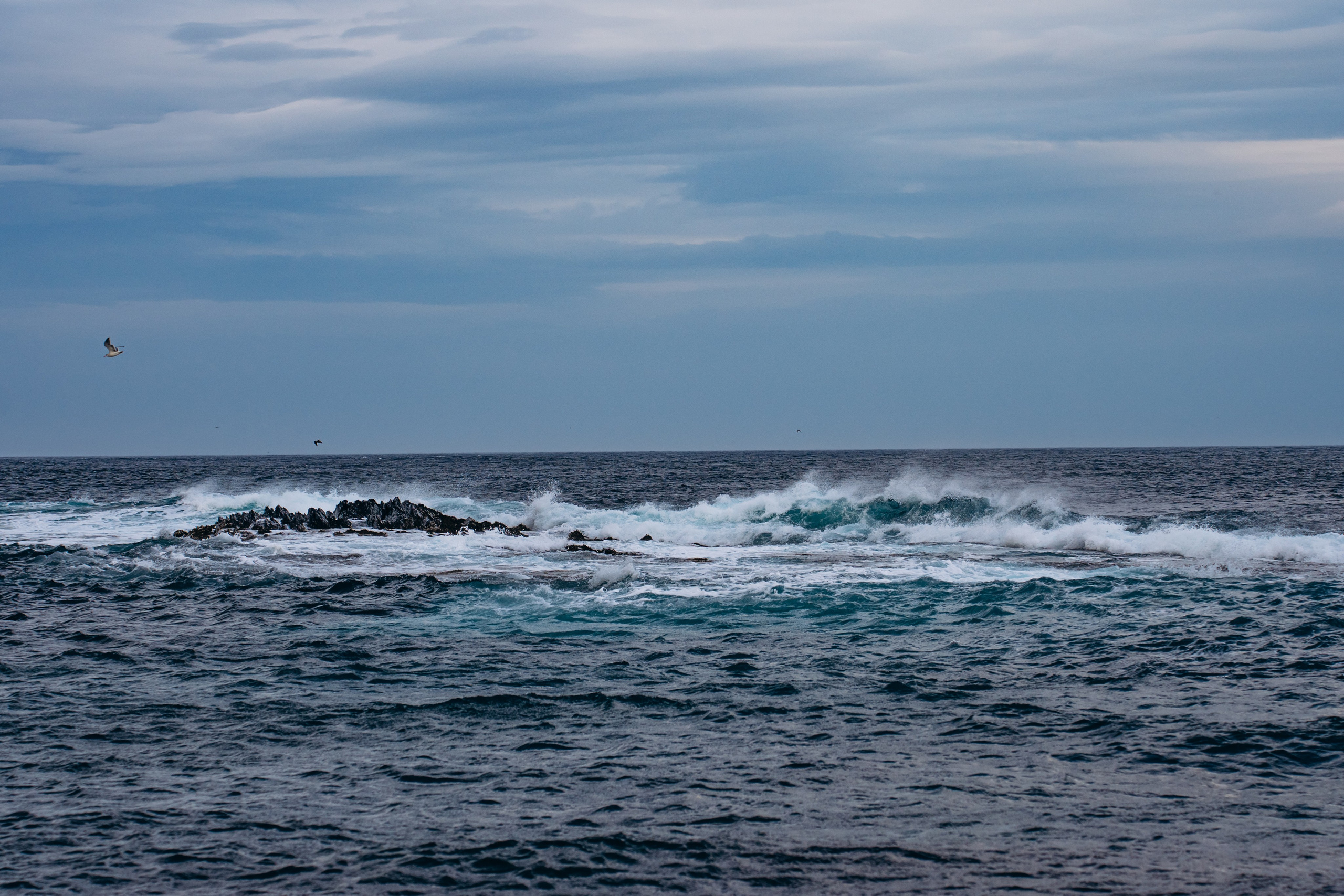 СЕВЕР. Event фотограф Степанова Александра