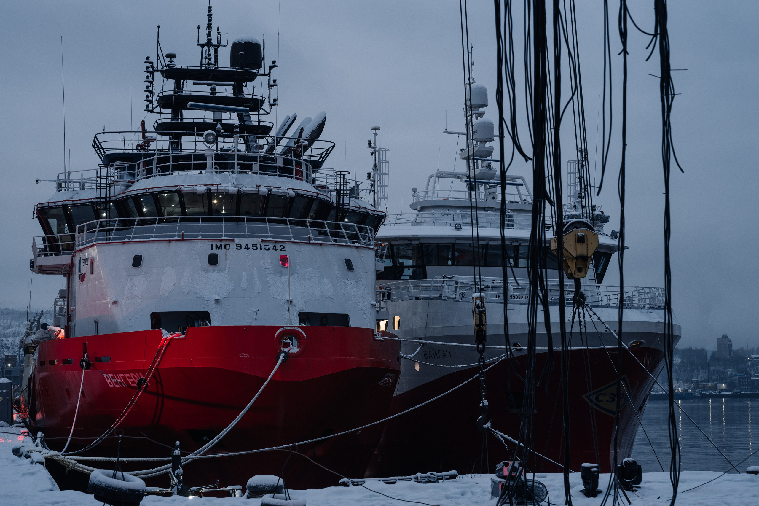 PANTERRA, POSTHUMAN ARTEFACT 003. @tomrus: Рустам Шагиморданов — фотограф