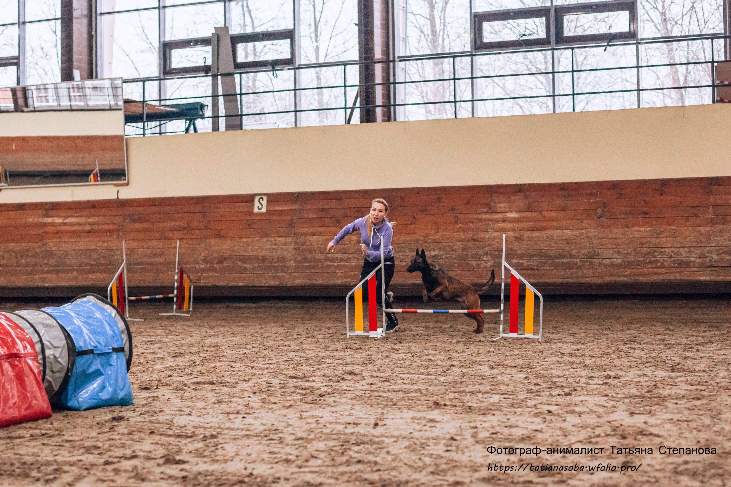 Соревнования по Аджилити 25.02.2024. Фотограф-анималист Татьяна Степанова