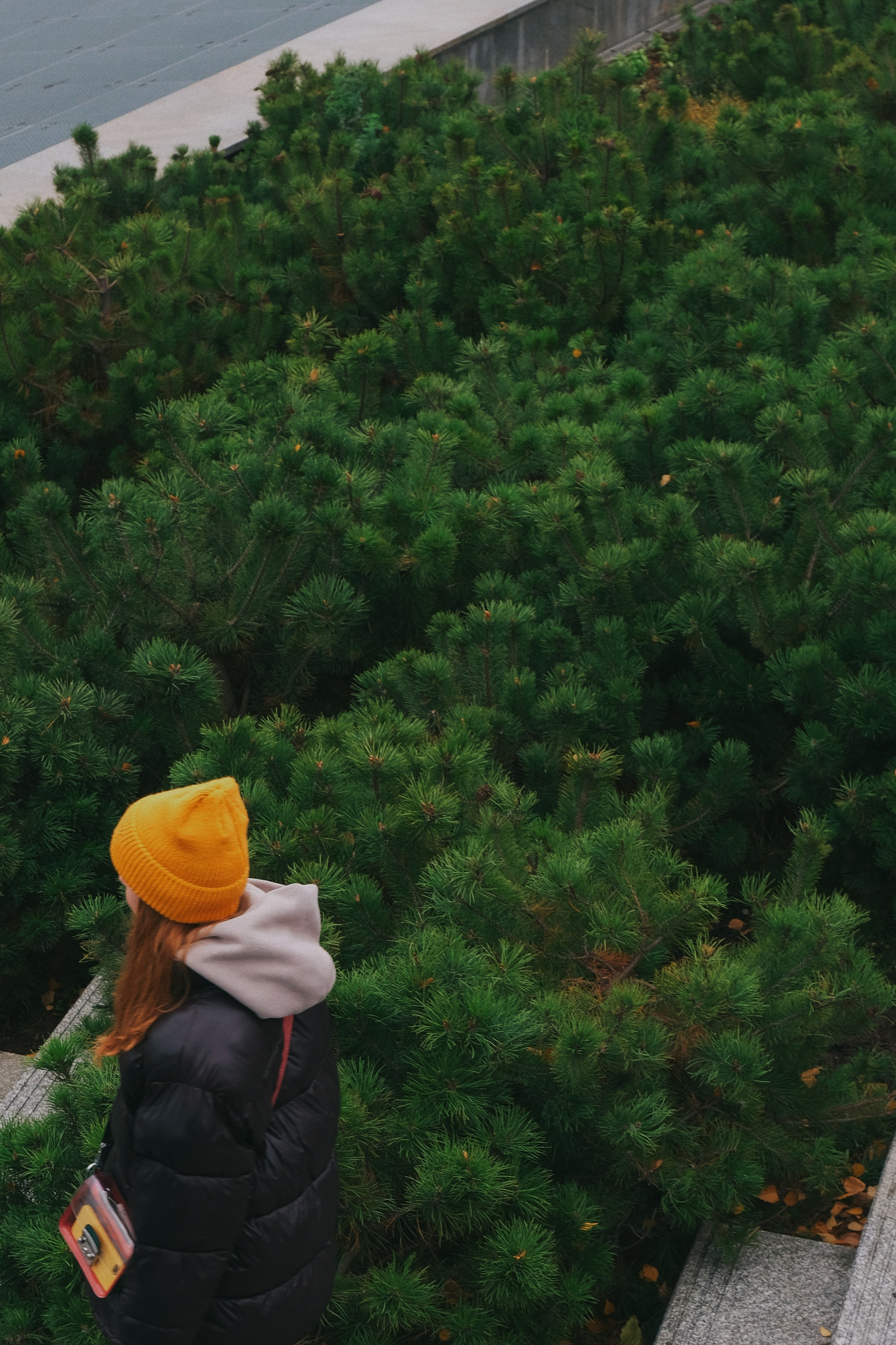 Прогулка. Татьян гертье