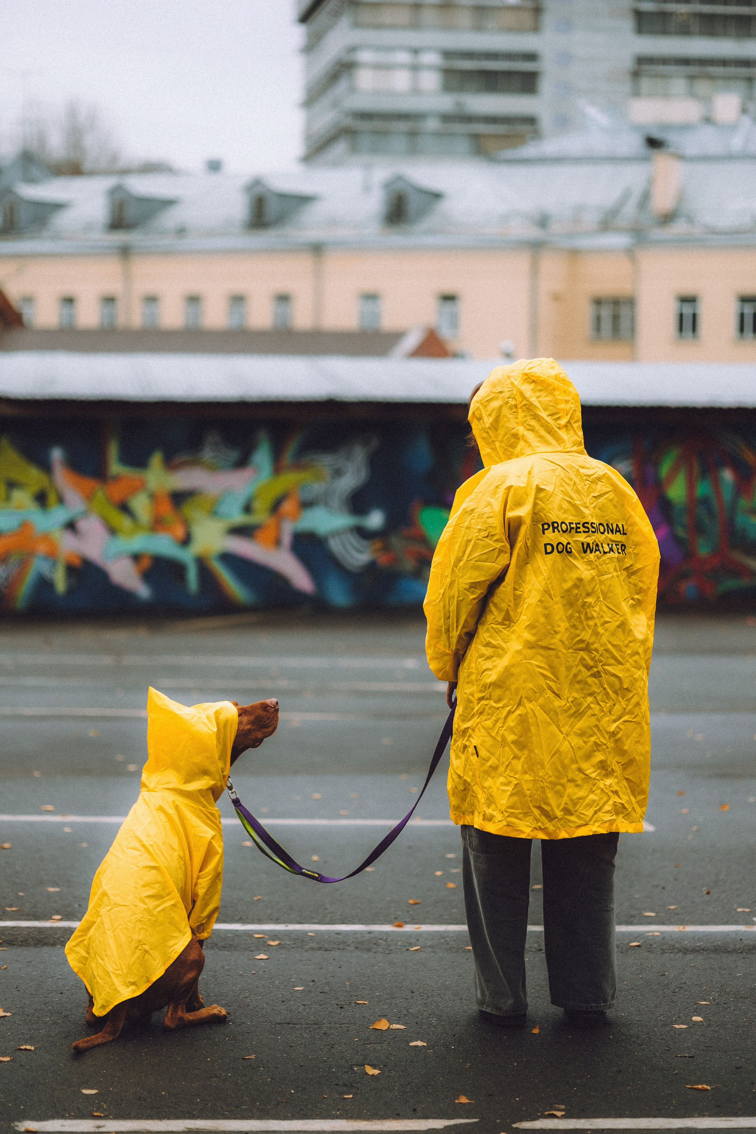 Екатерина и Даня