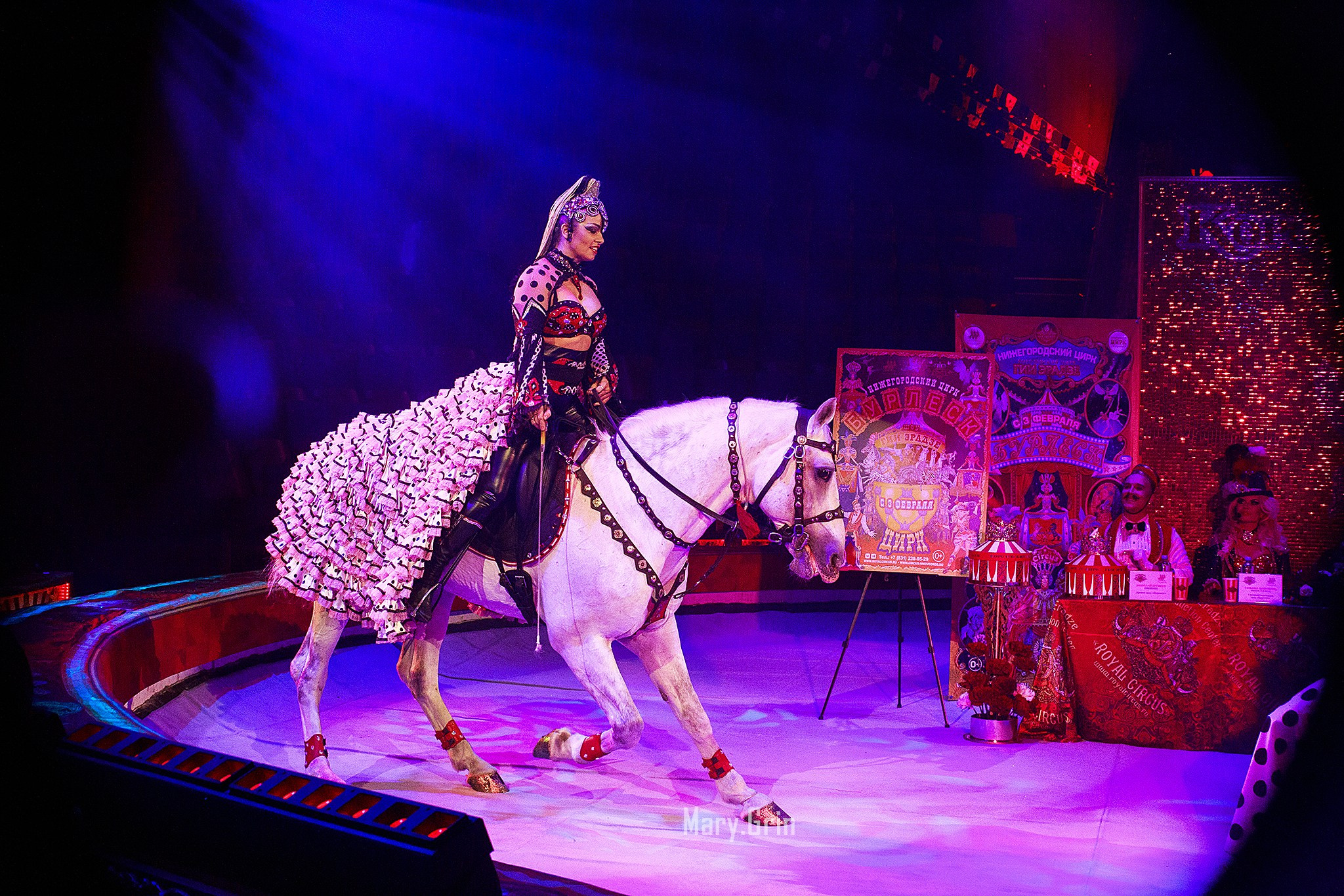 Цирк Гии Эрадзе. Детский и семейный фотограф, фотограф мероприятий Нижний Новгород