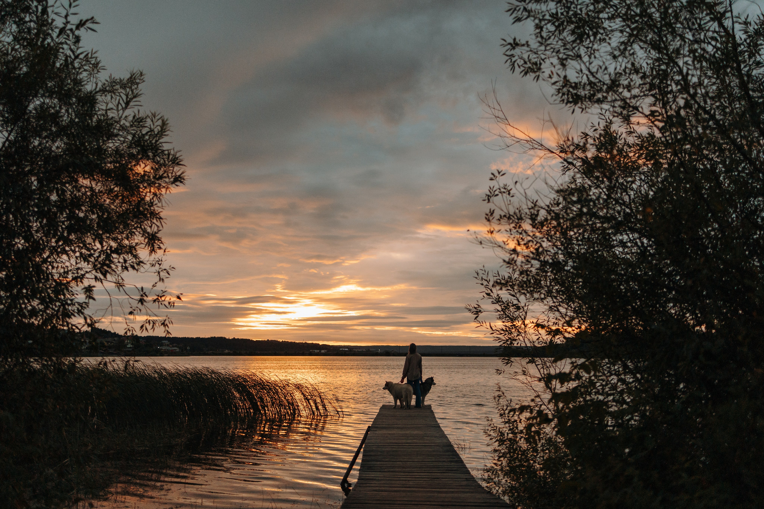Дом у реки. Фотограф — Анималист | Санкт-Петербург