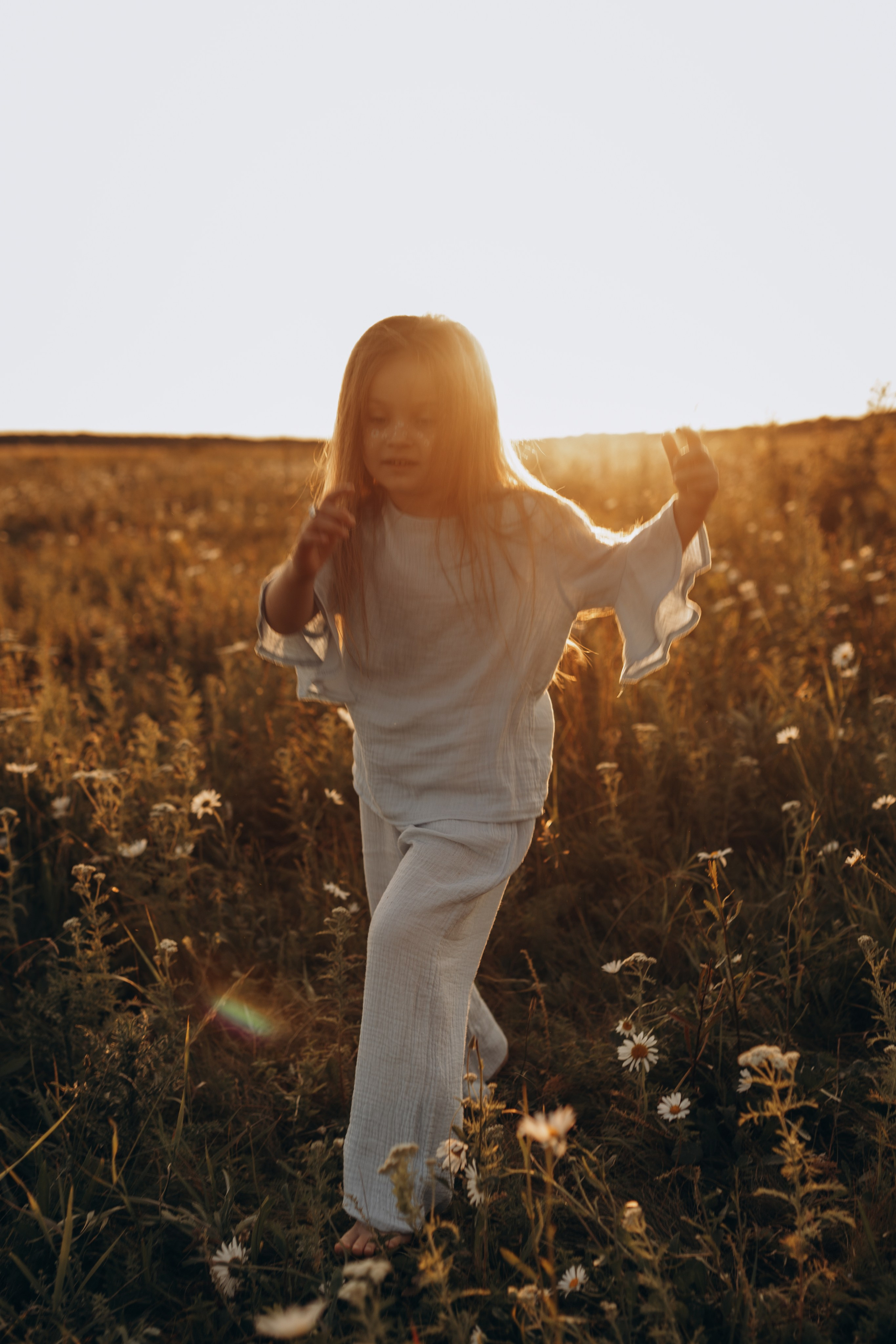 Закат на ромашковом поле. Фотограф в Ставрополе Svetlana Matveeva
