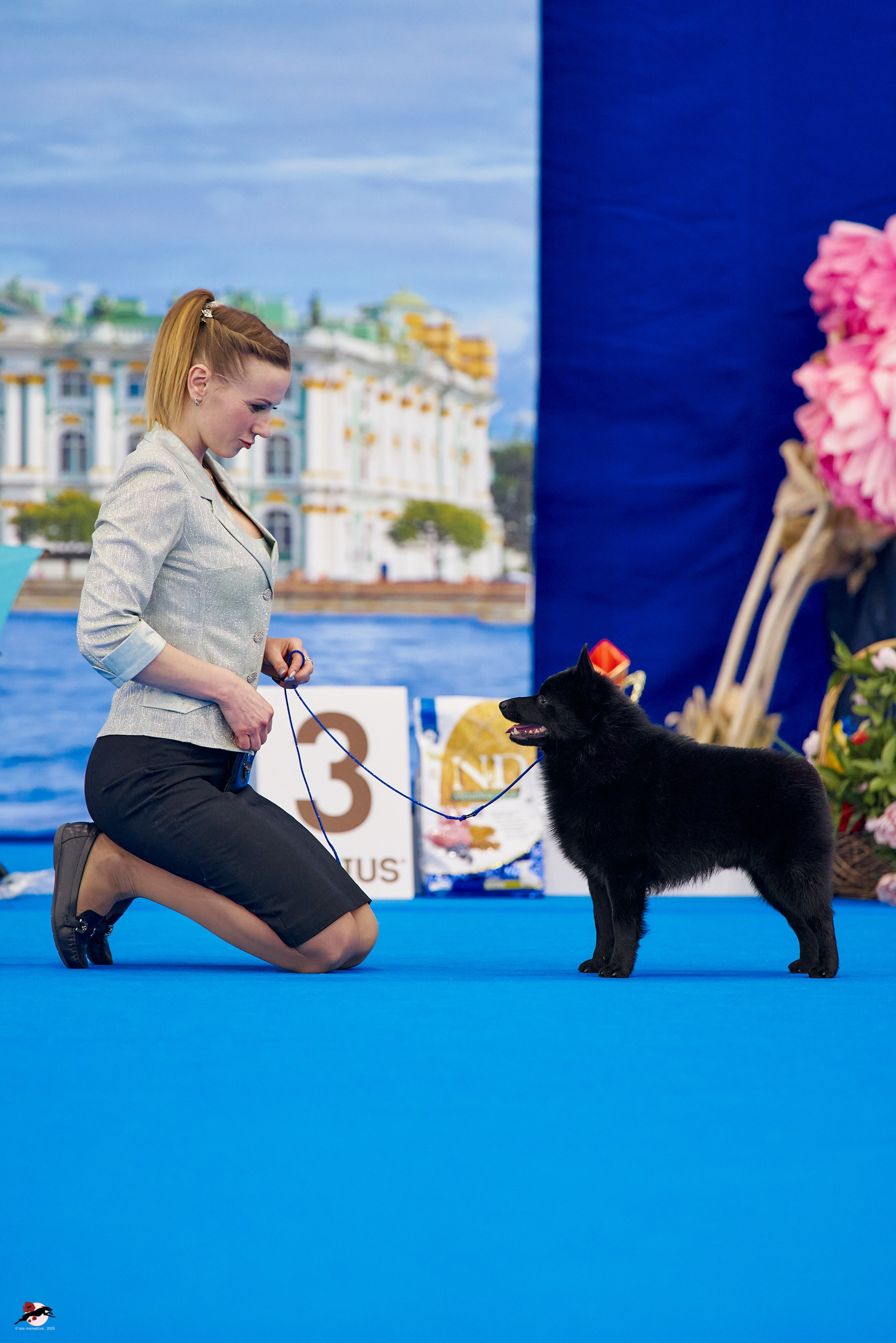 27.04.2025 | "Петербург-Элита 2025" & «КУБОК «ЭЛИТЫ»-2025»