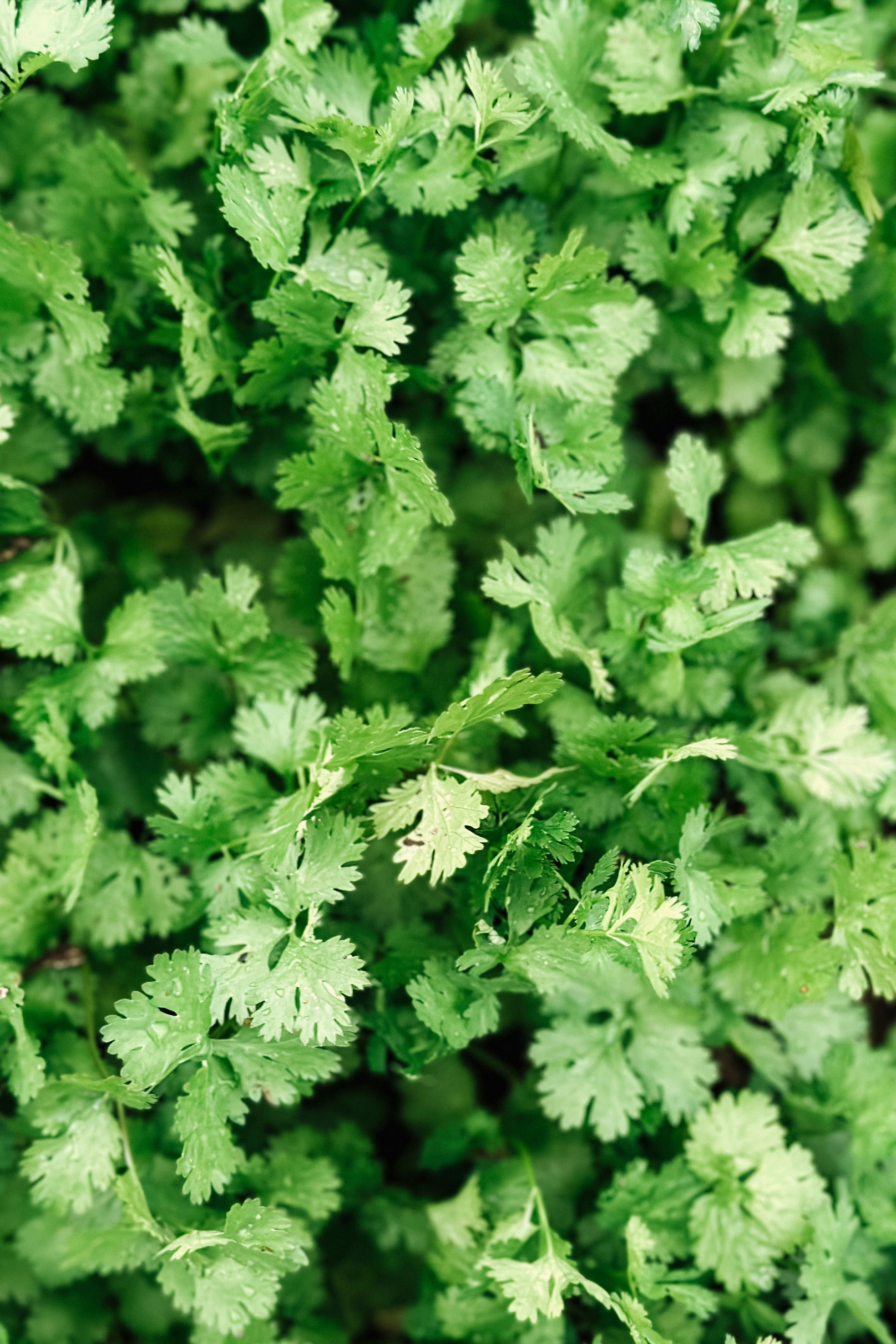 Природа. Команда фотографов Кристины Ивановой