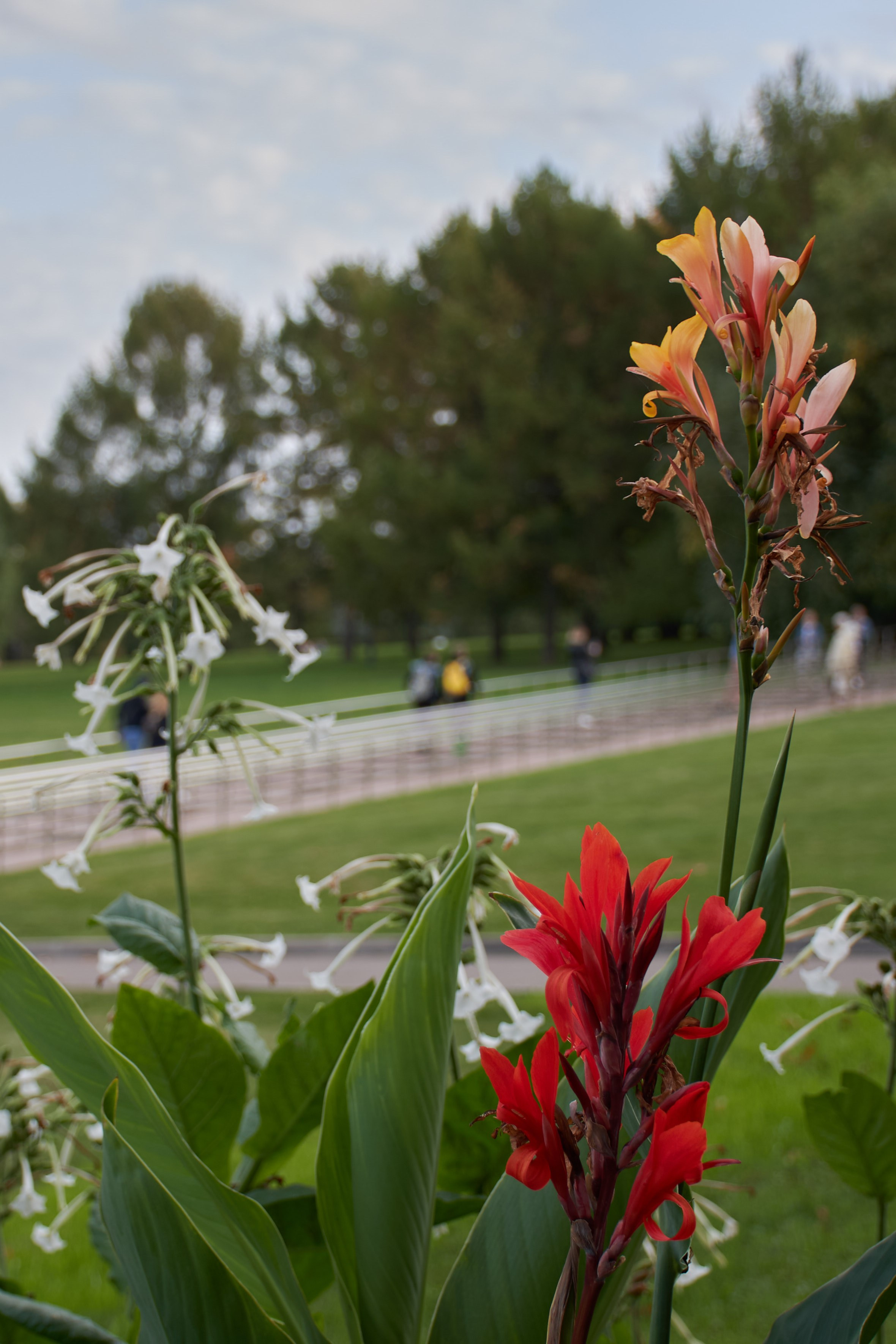 20200927 Коломенское. Дмитрий Ремизов. Фотография, как хобби