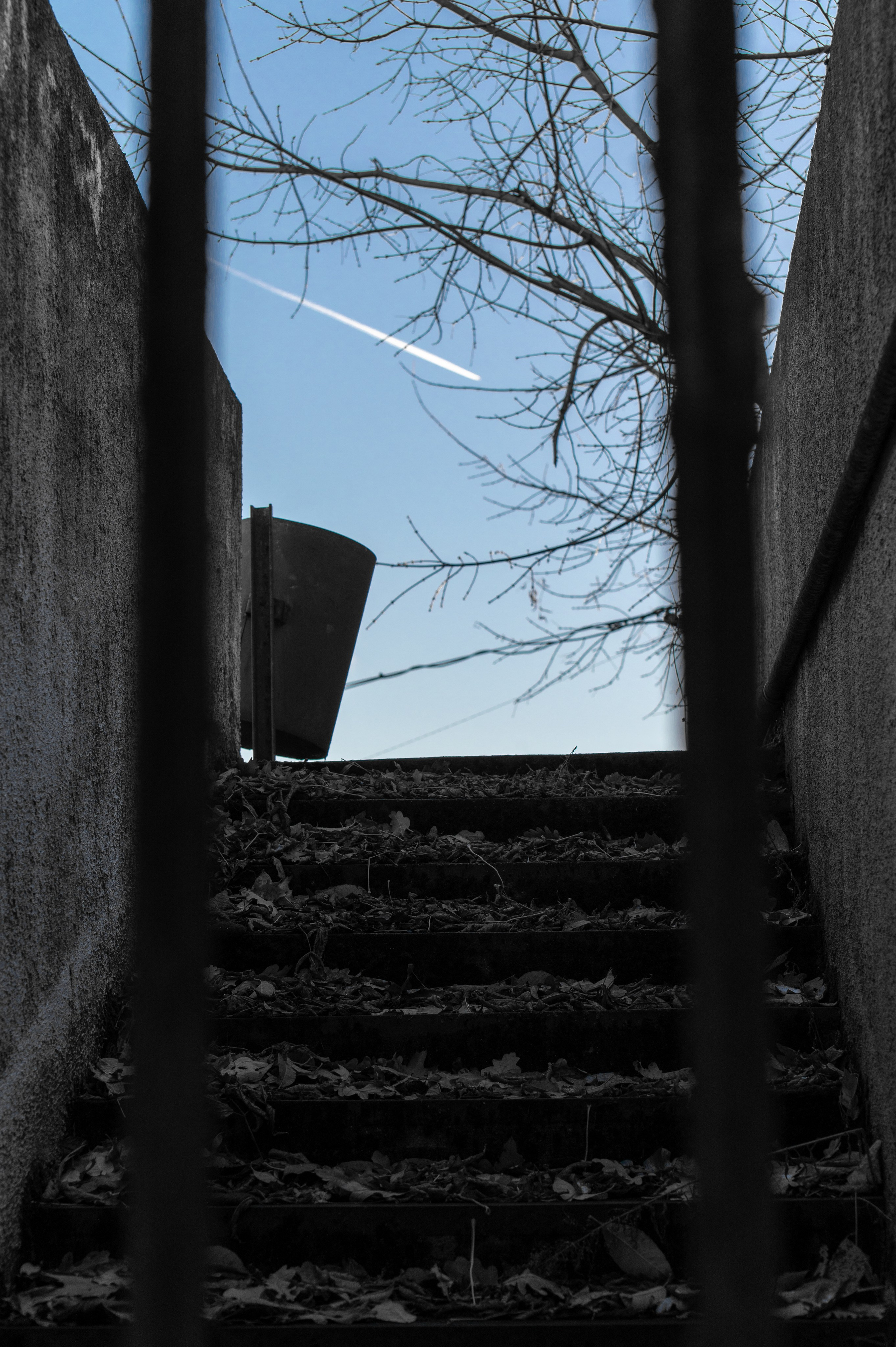 20241102 МГУ. Дмитрий Ремизов. Фотография, как хобби