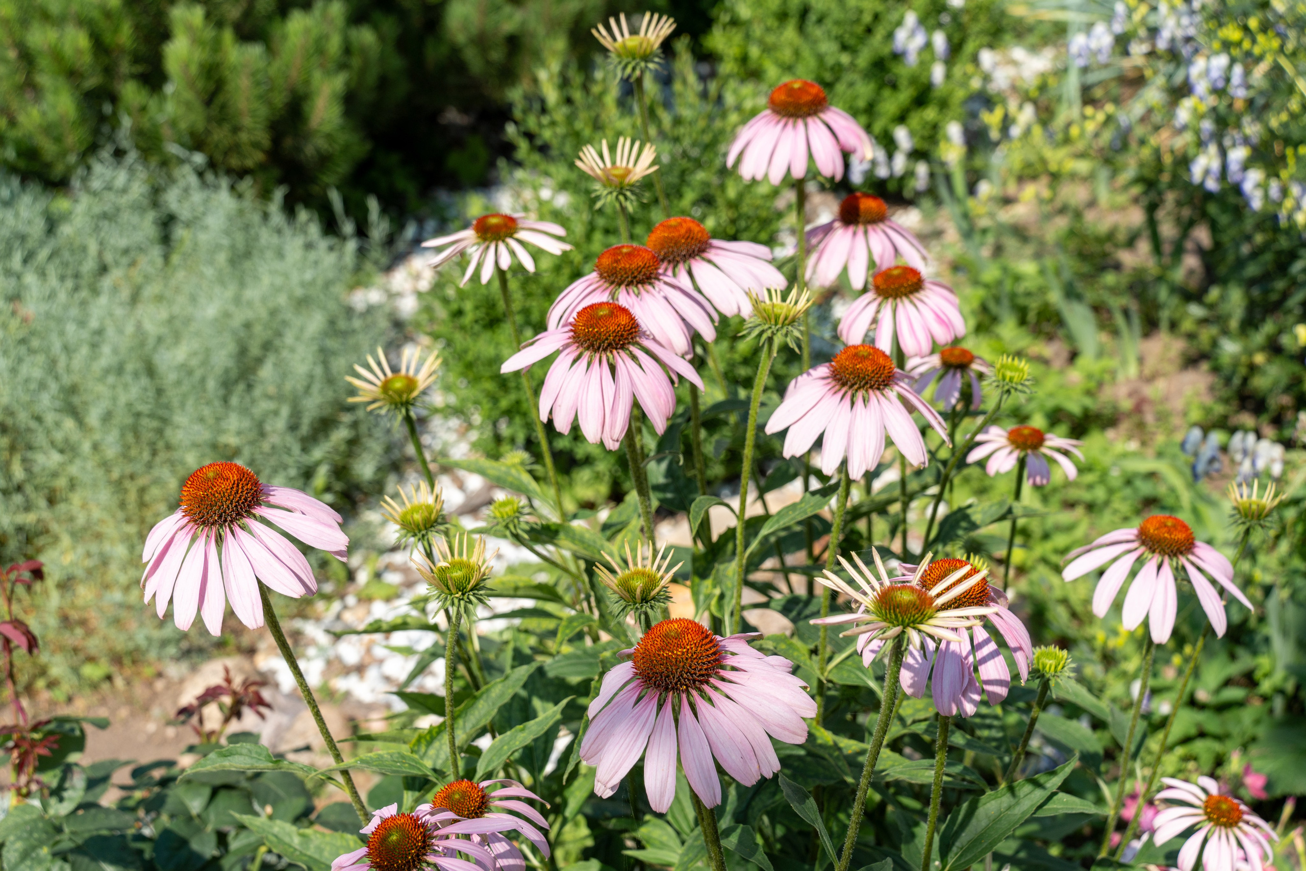 20250729-30 Ростов. Дмитрий Ремизов. Фотография, как хобби