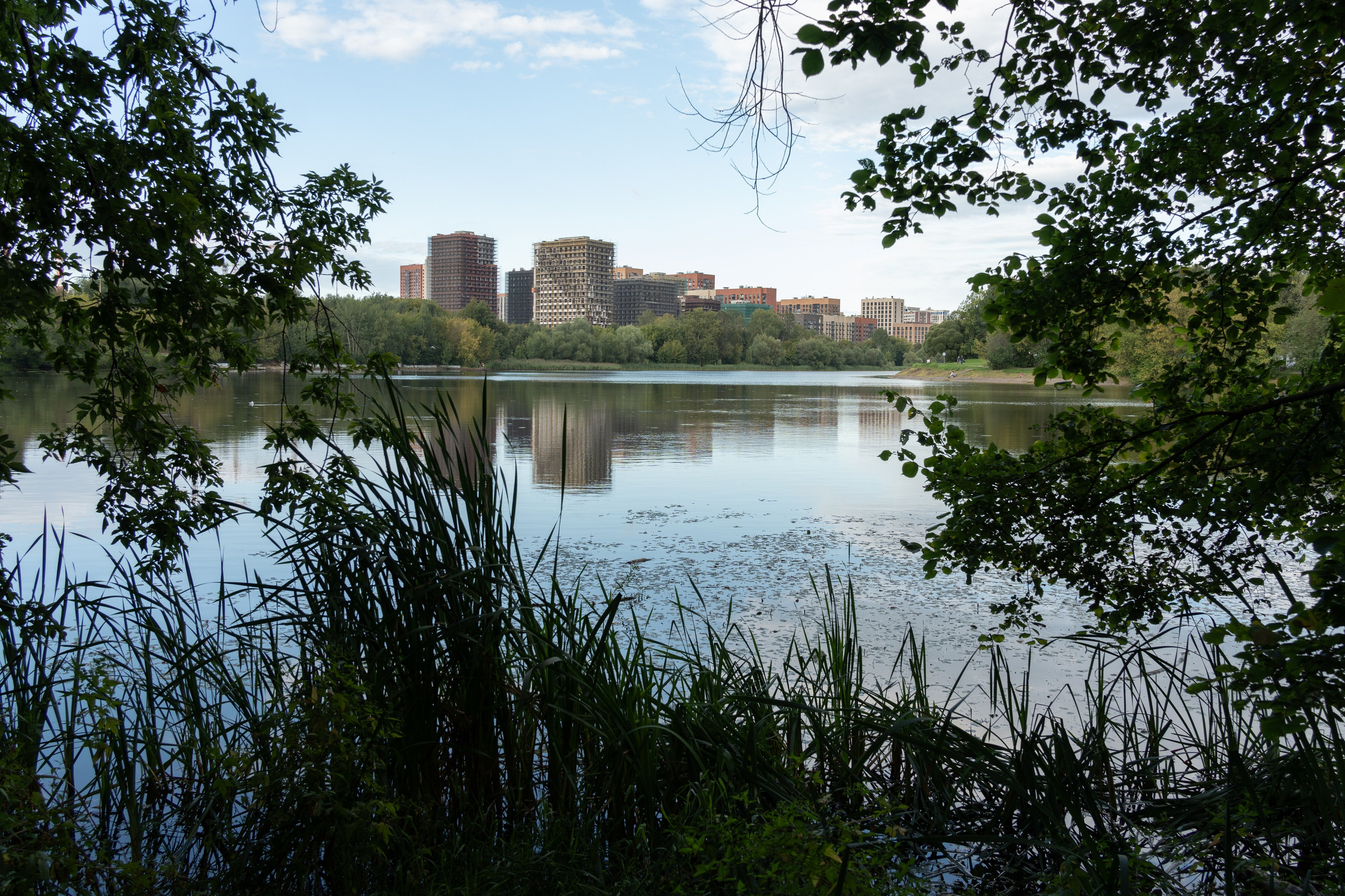 20250817 Измайлово. Дмитрий Ремизов. Фотография, как хобби